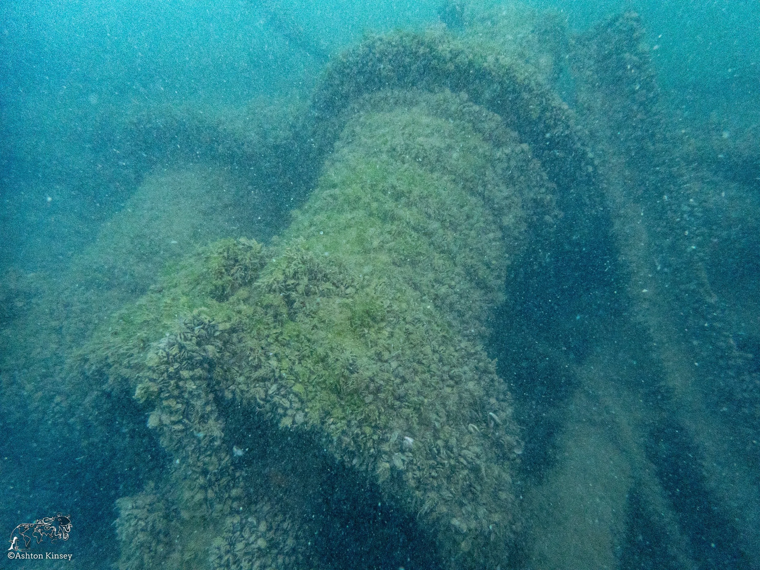 Wreck Diver-8.jpg