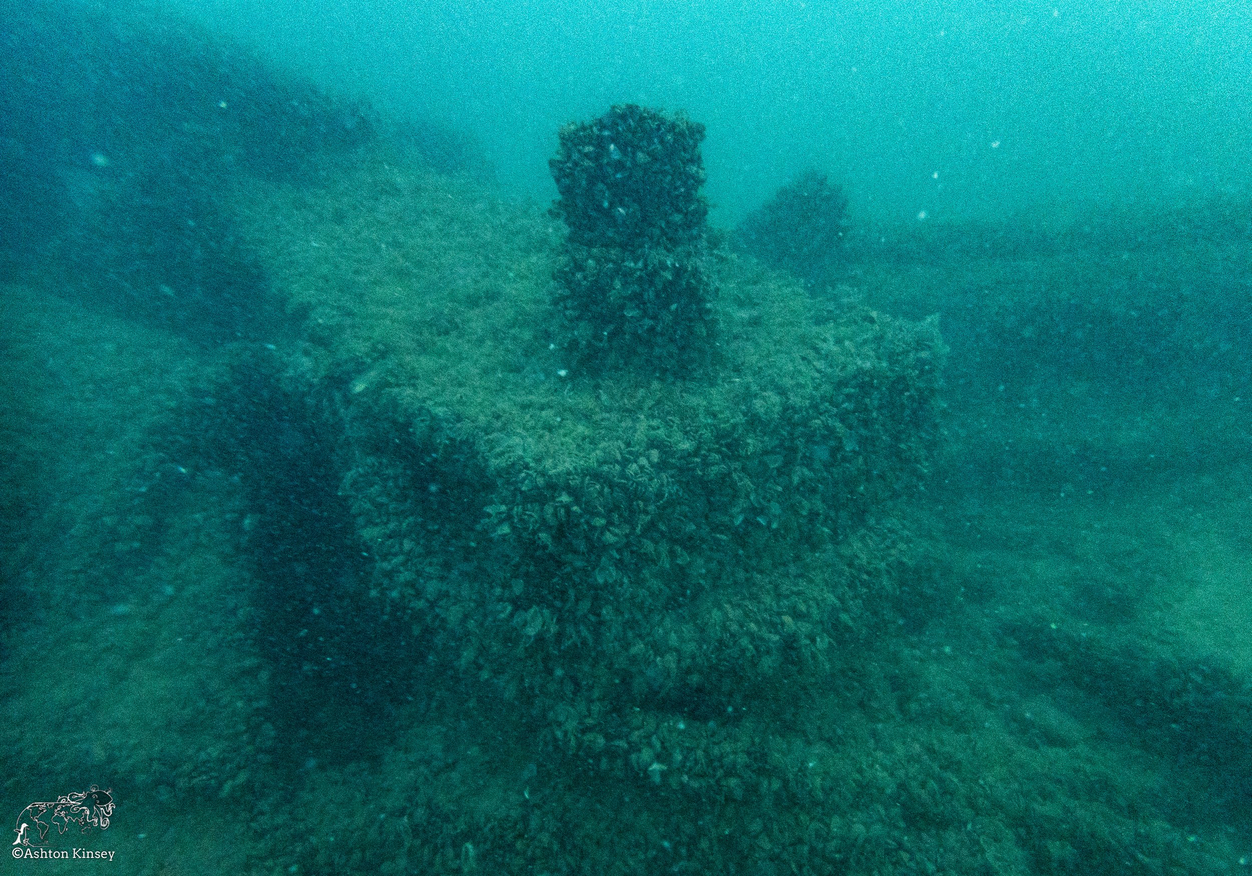 Wreck Diver-9.jpg