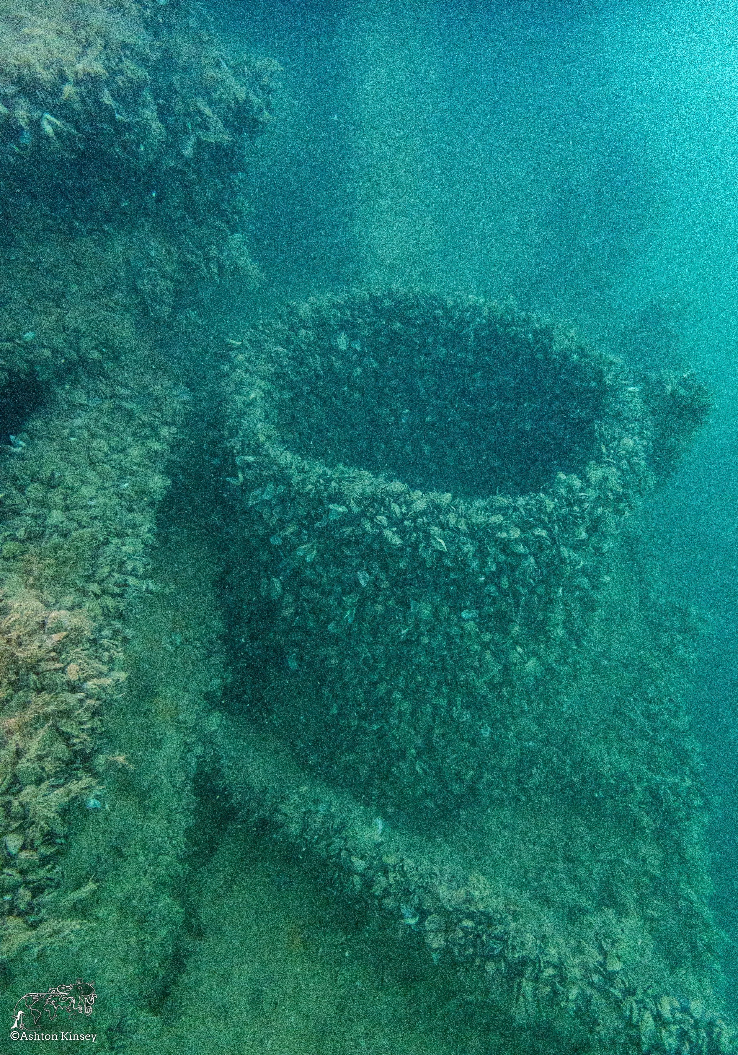 Wreck Diver-10.jpg