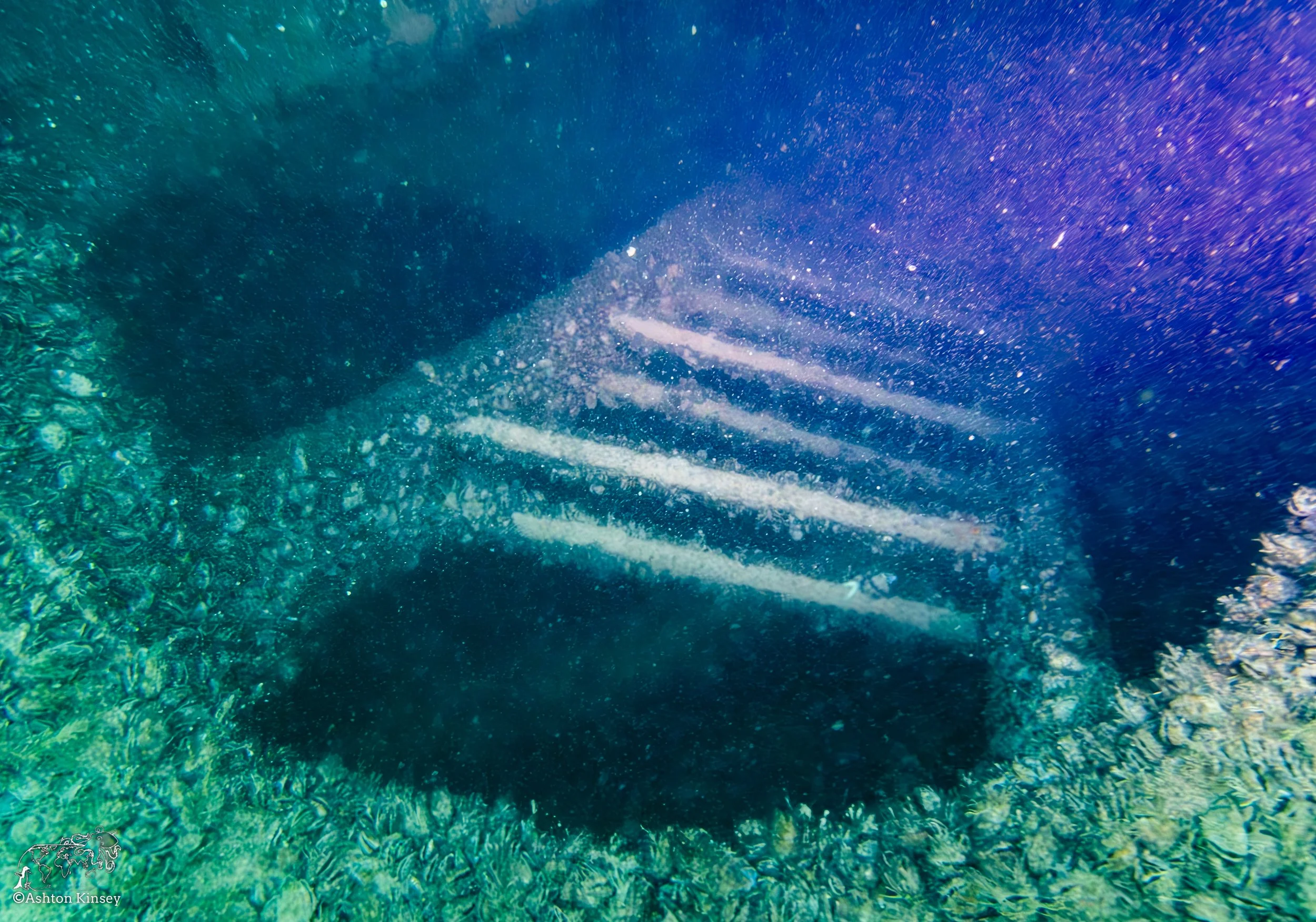 Wreck Diver-13.jpg