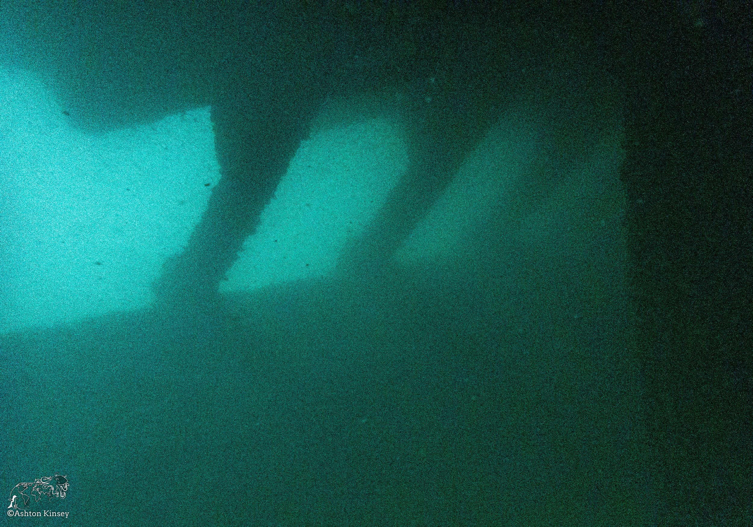 Wreck Diver-19.jpg