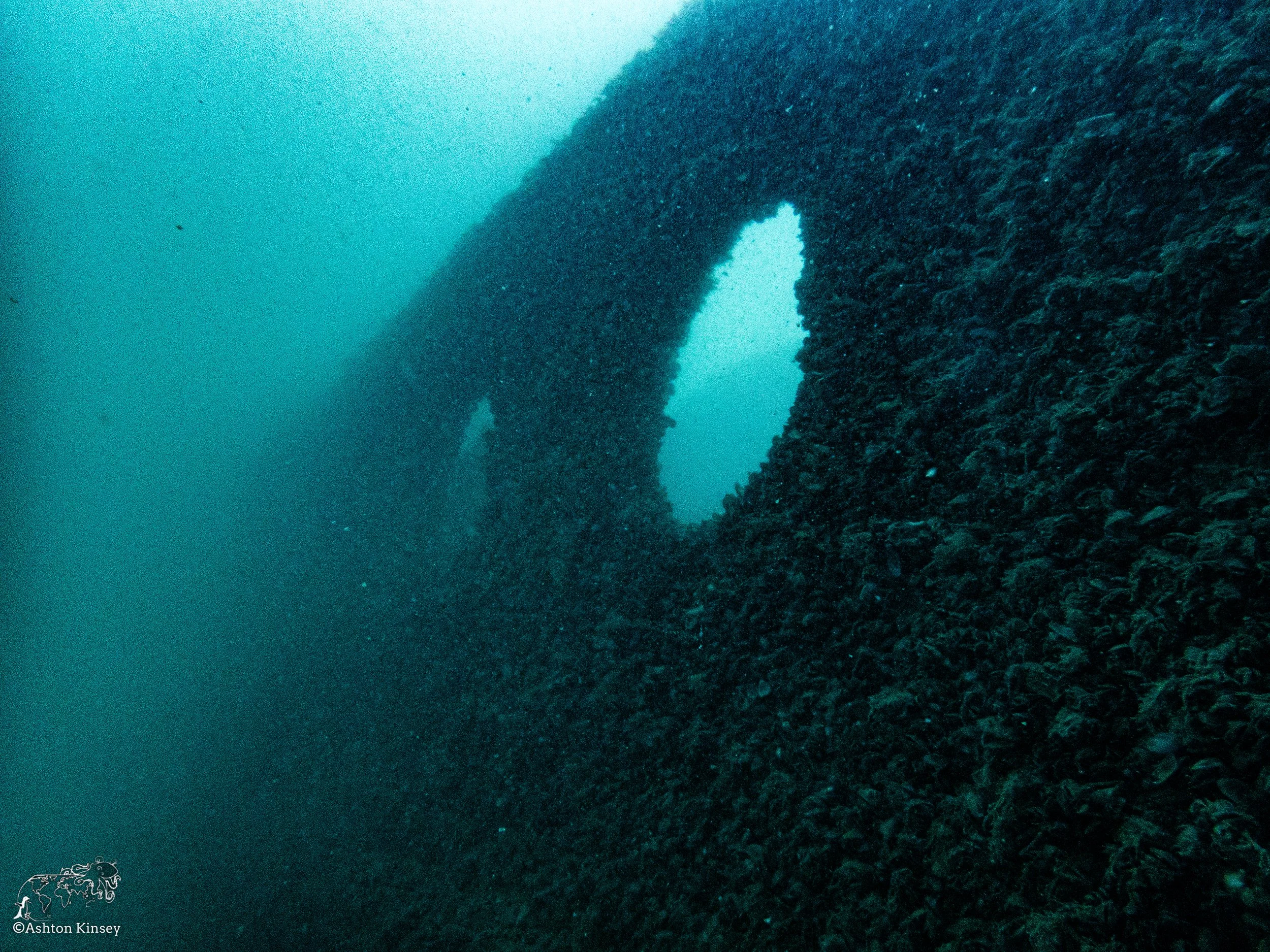 Wreck Diver-11.jpg