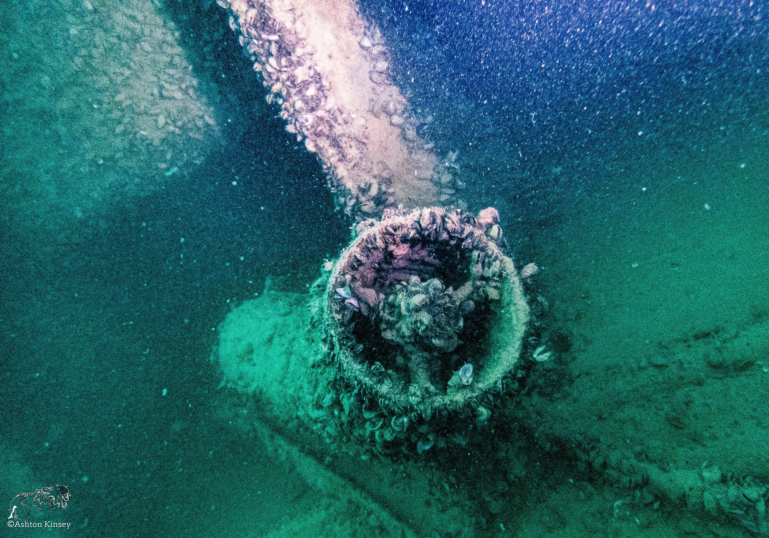 Wreck Diver-16.jpg
