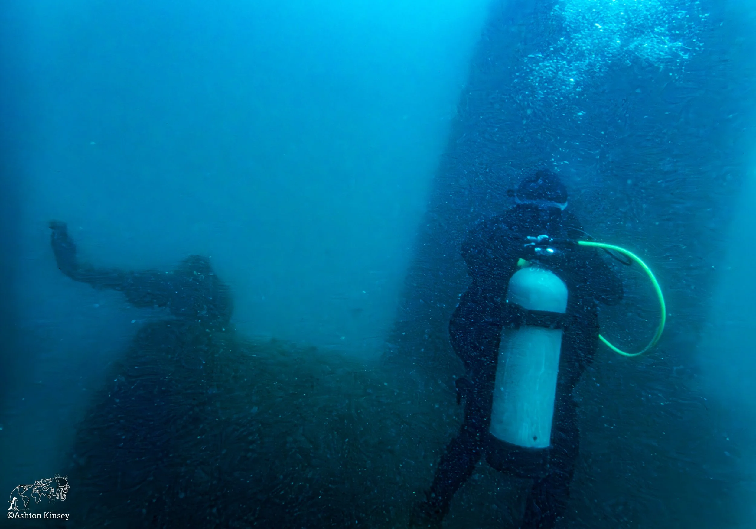 Wreck Diver-Louis.jpg