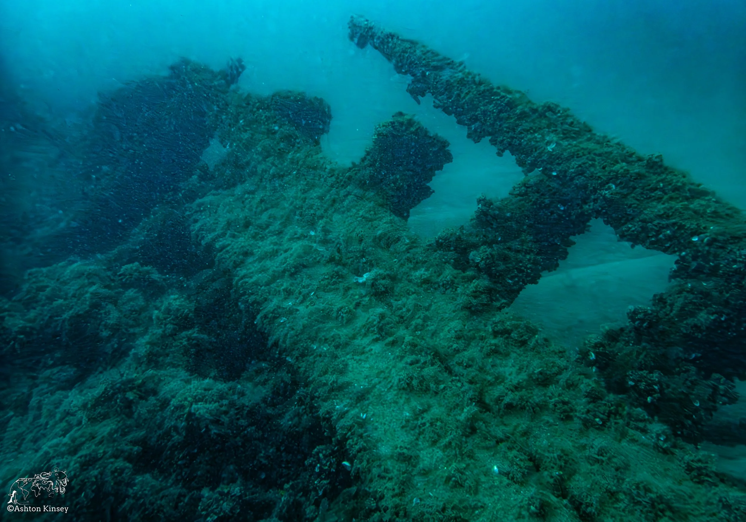 Wreck Diver-Louis-1.jpg