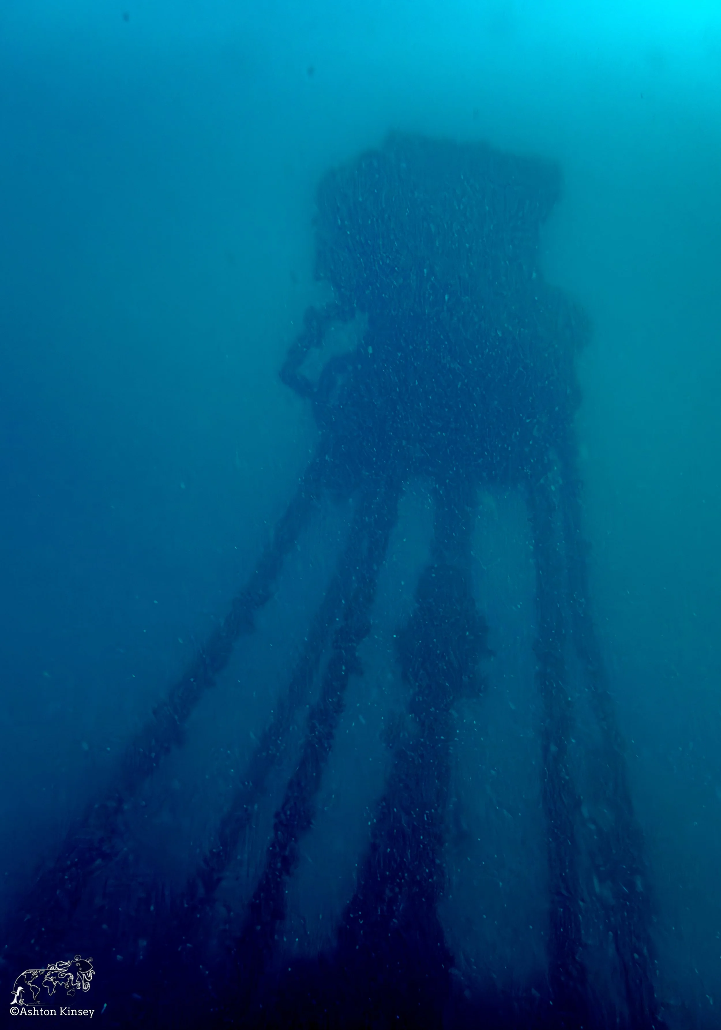 Wreck Diver-Louis-2.jpg