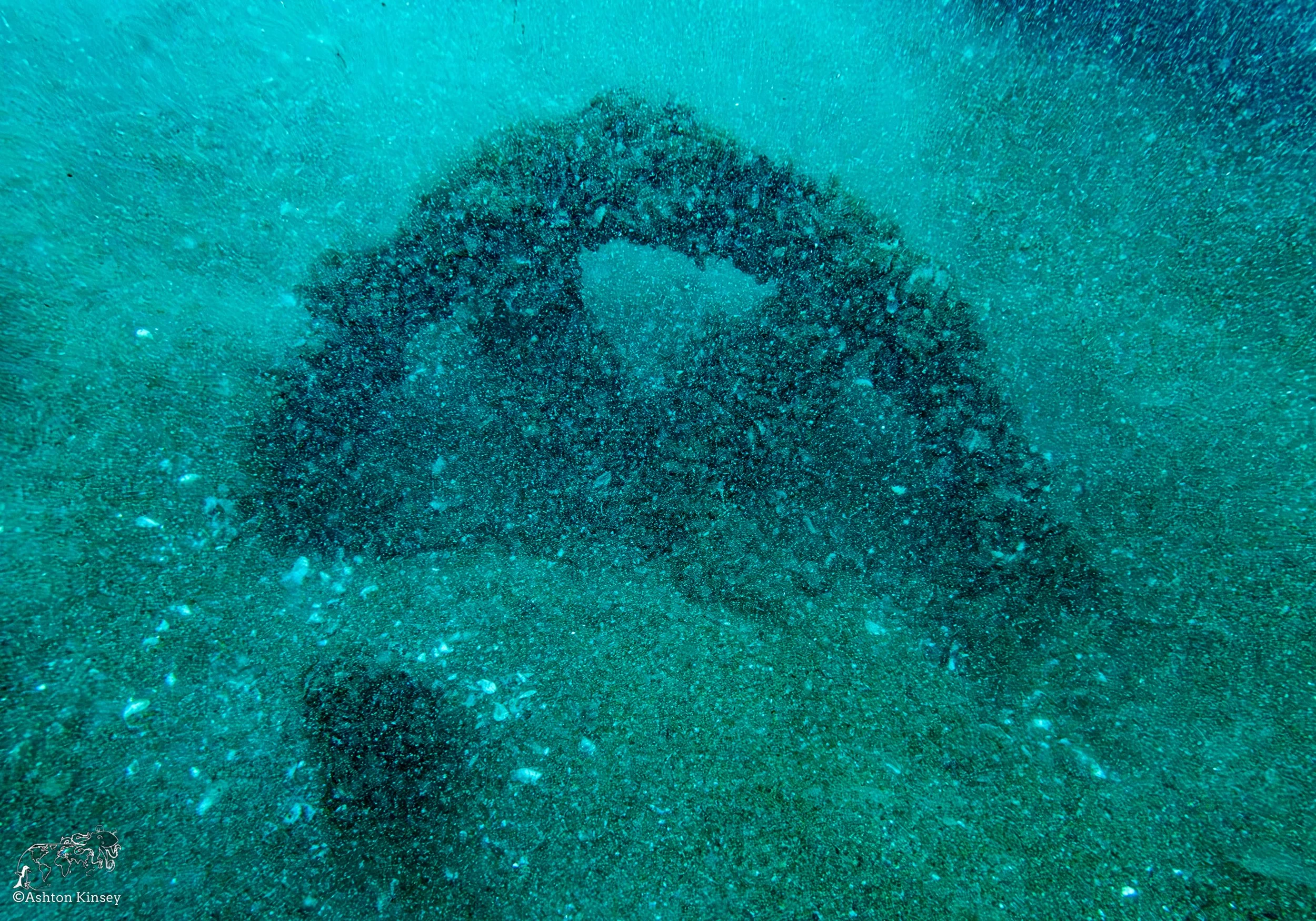 Wreck Diver-Louis-8.jpg