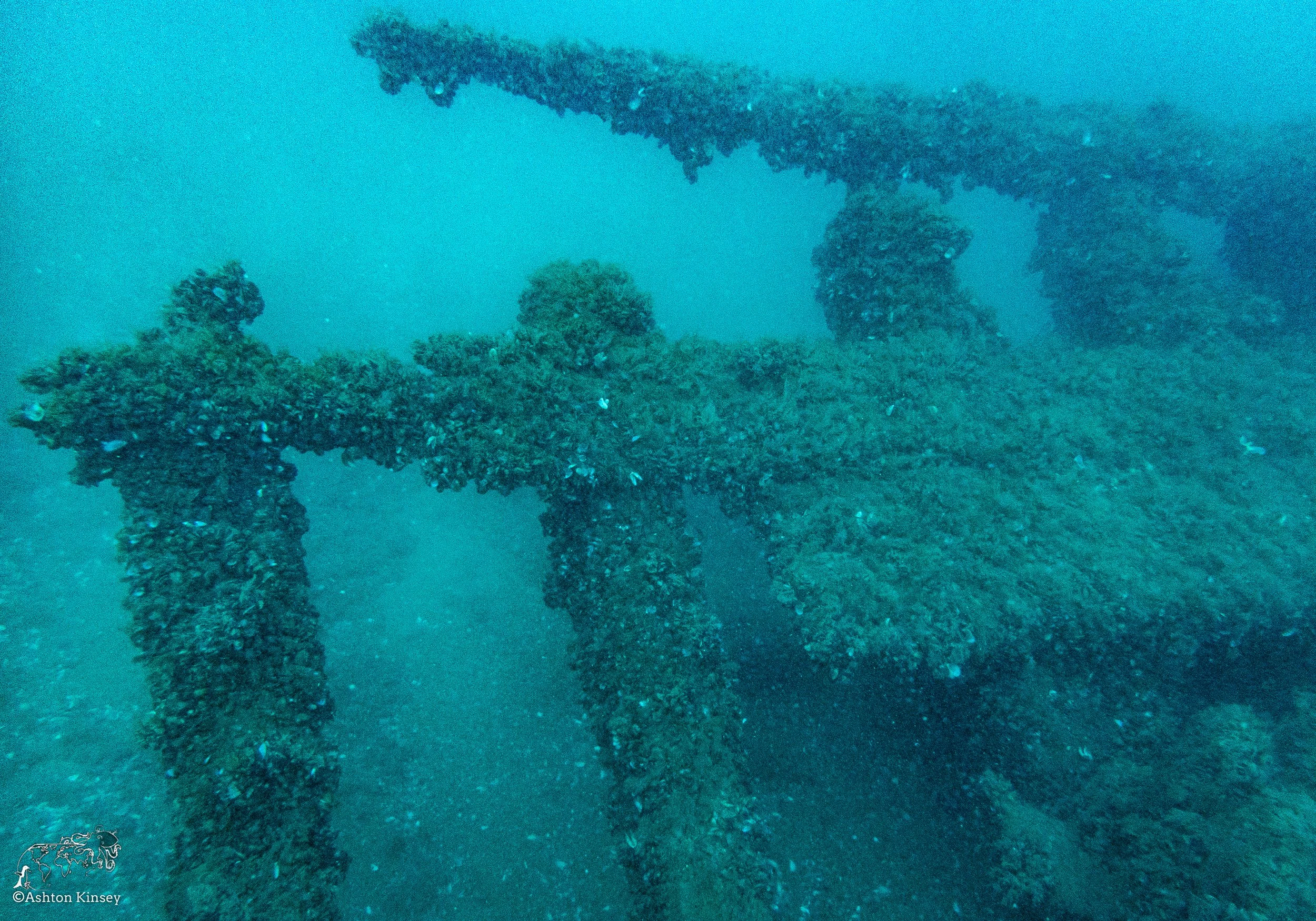 Wreck Diver-Louis-7.jpg