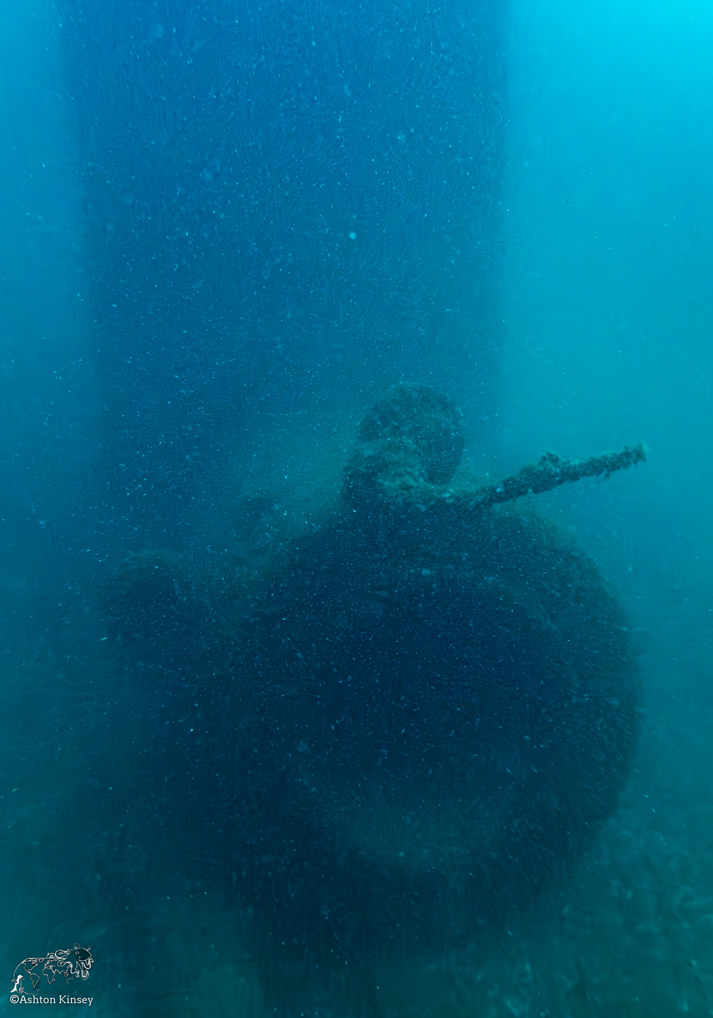 Wreck Diver-Louis-10.jpg