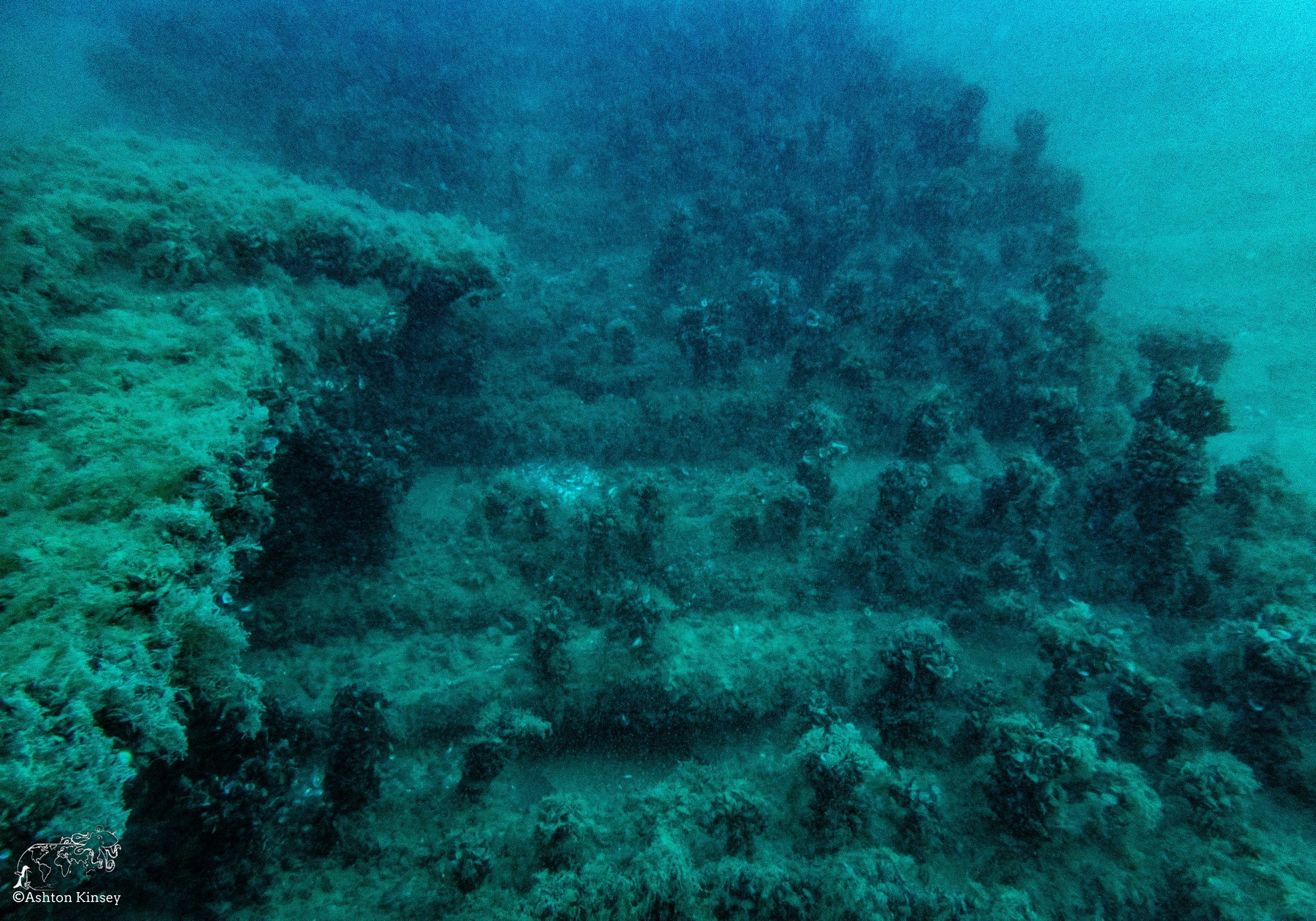 Wreck Diver-Louis-9.jpg