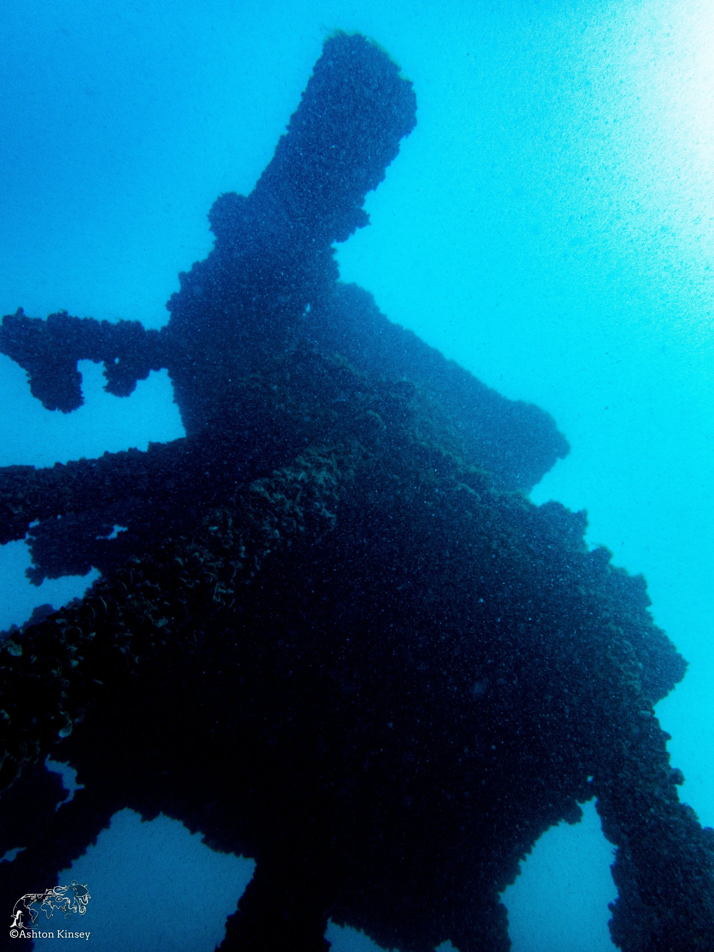 Wreck Diver-Louis-11.jpg