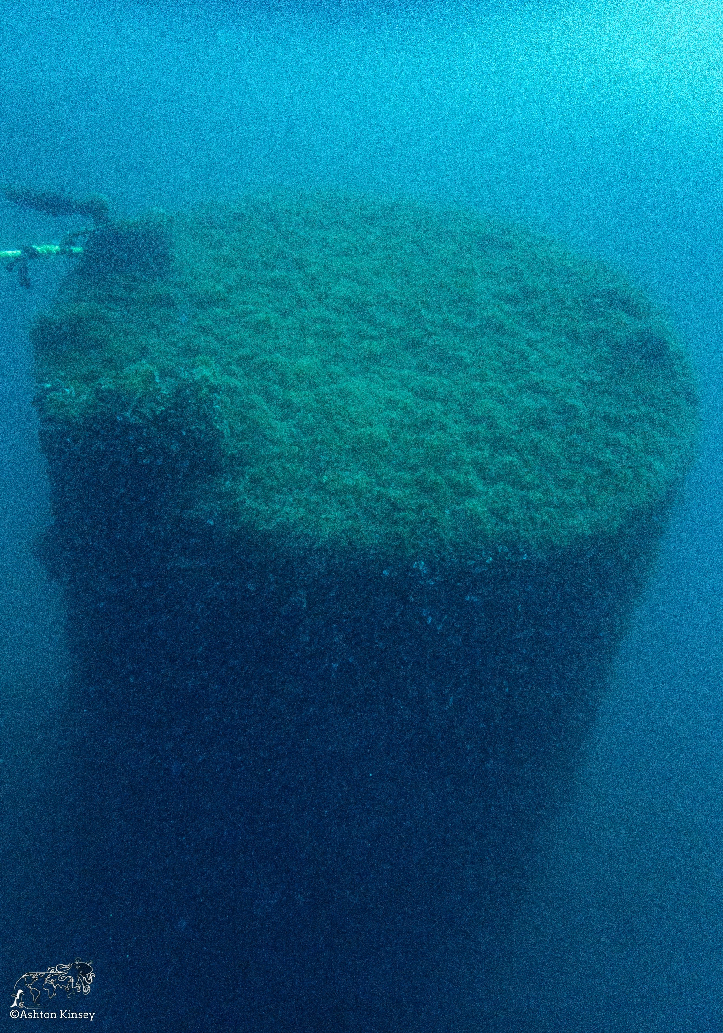 Wreck Diver-Louis-15.jpg
