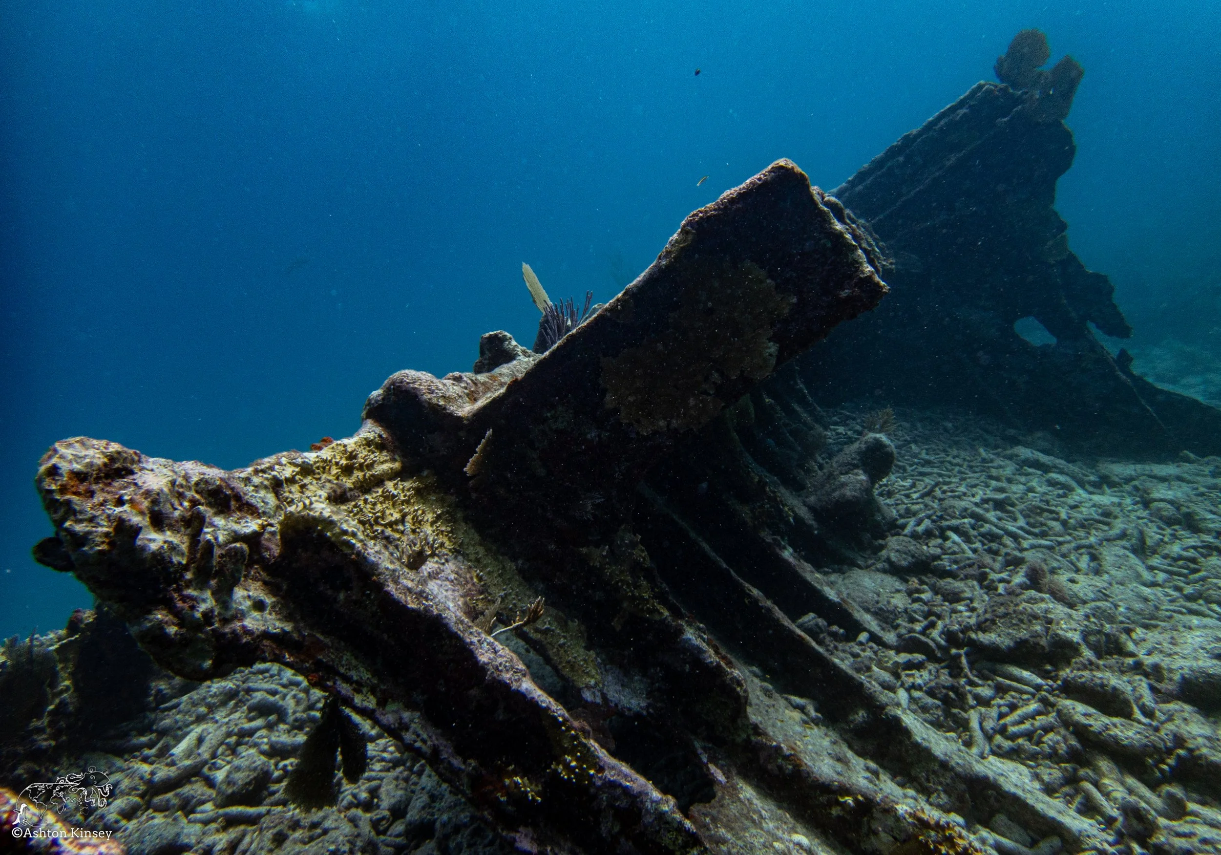 RR-KL-D4- Mike's Wreck-7.jpg