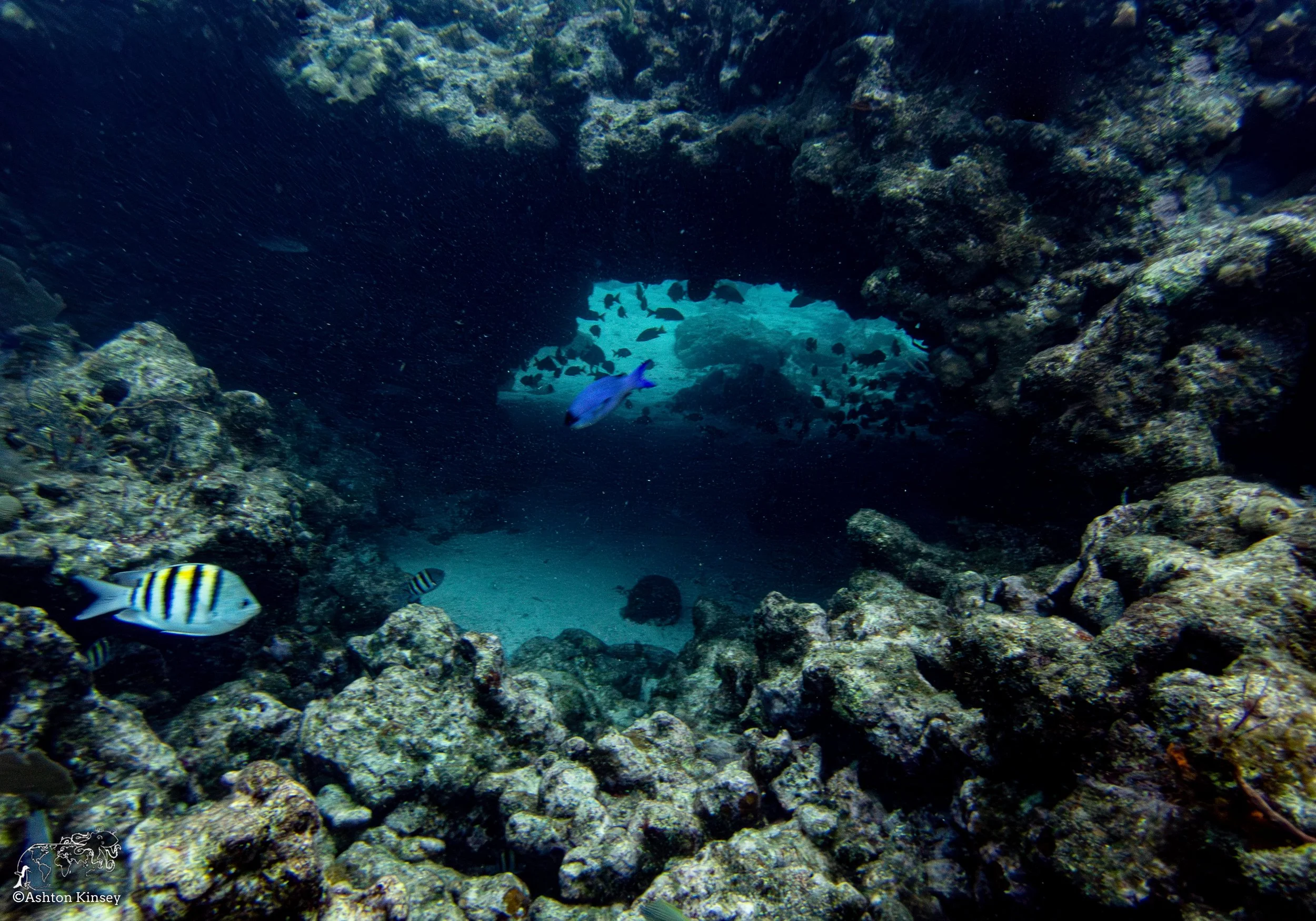 RR-KL-D7-JJ's Cave.jpg