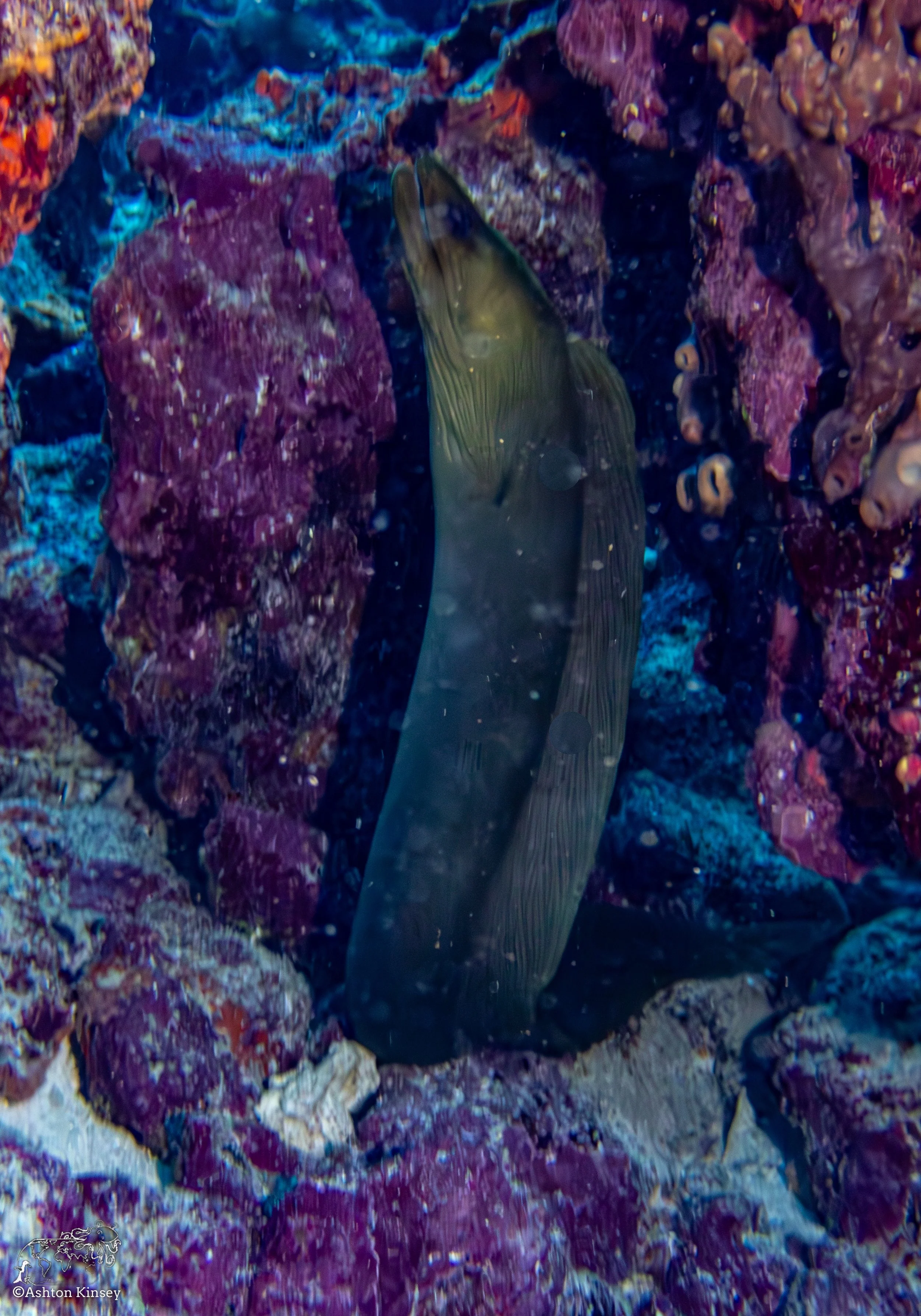 RR-KL-D7-JJ's Cave-8.jpg
