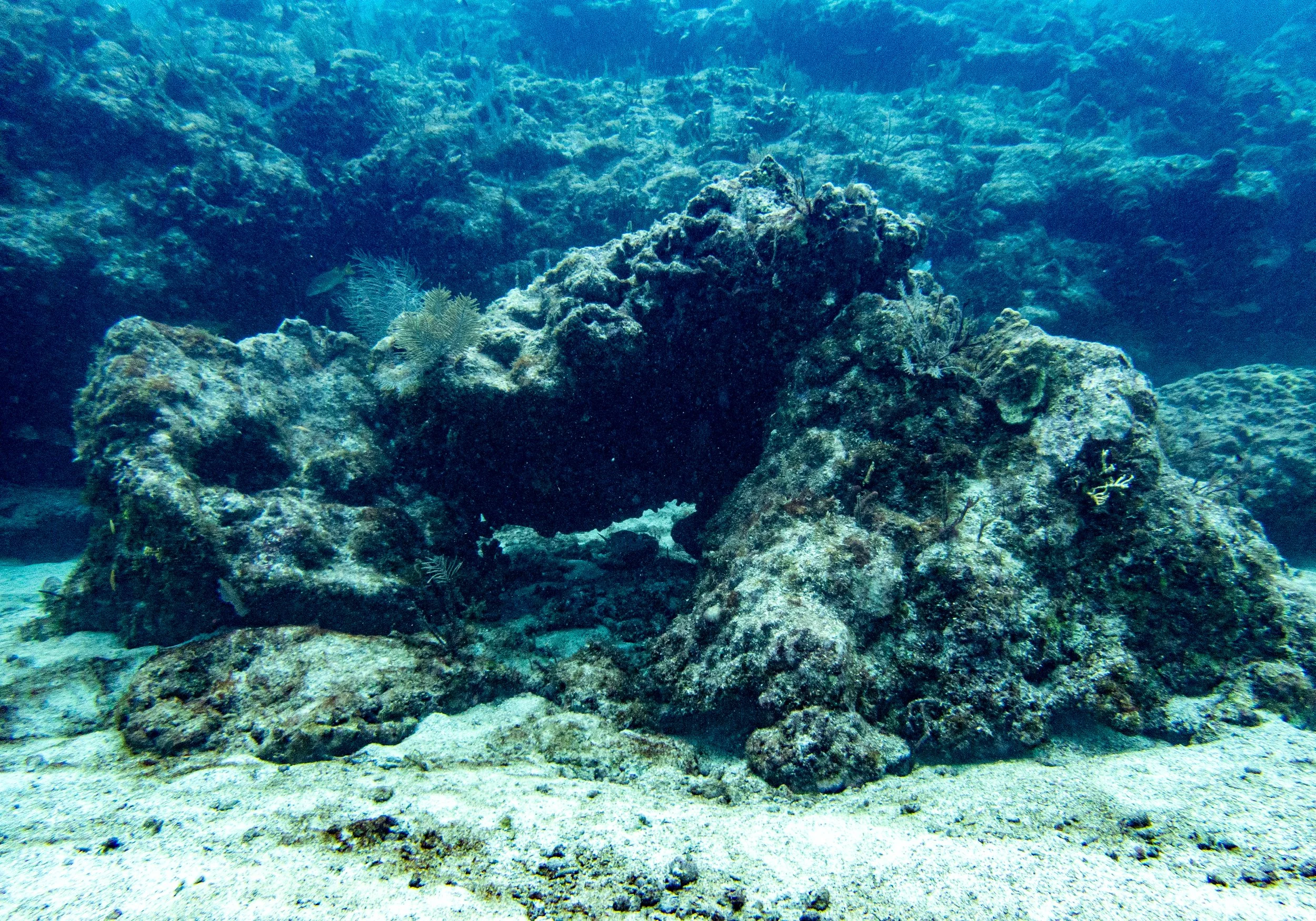RR-KL-D1-Eagle Ray Alley-6.jpg