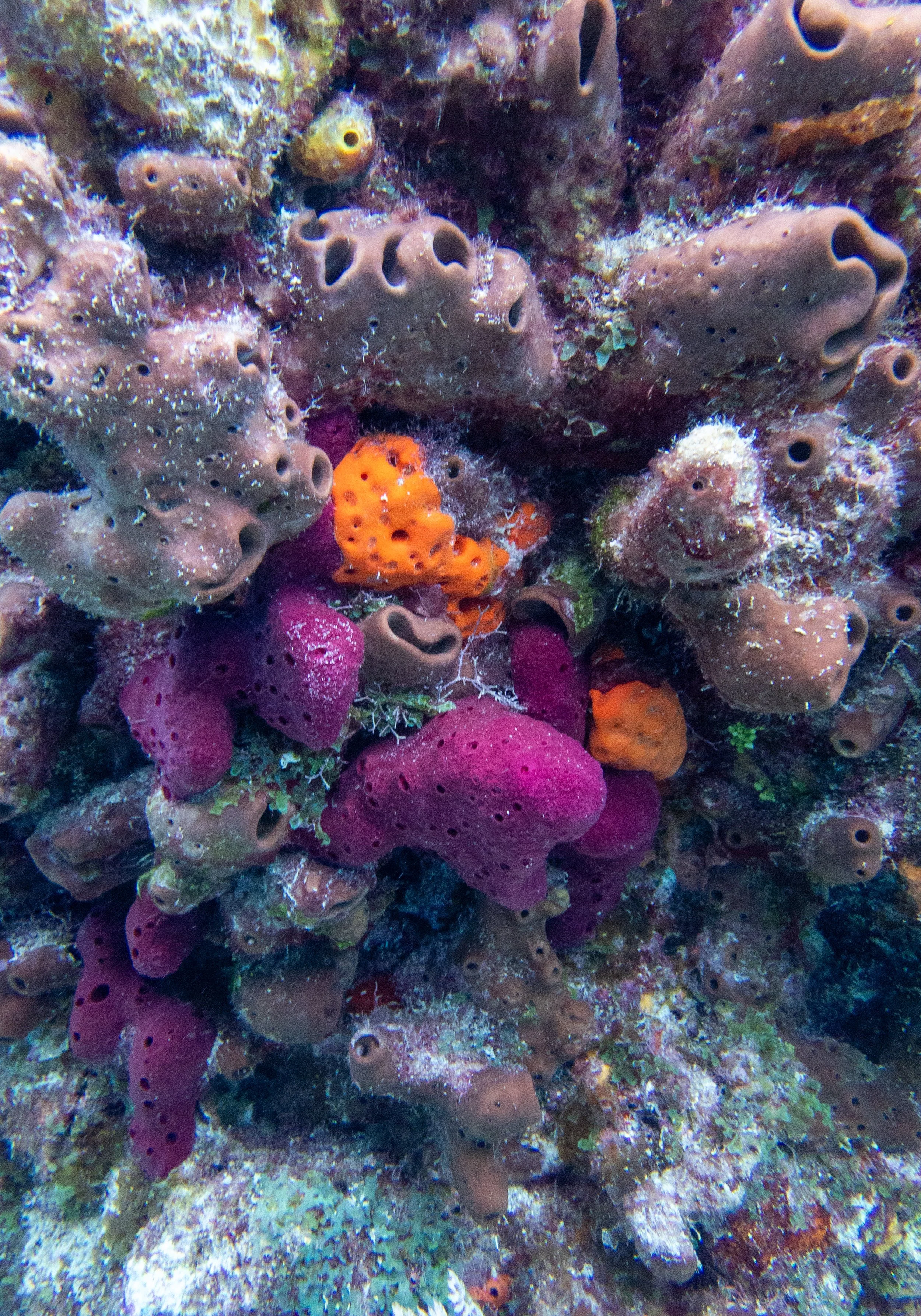 RR-KL-D1-Eagle Ray Alley-10.jpg