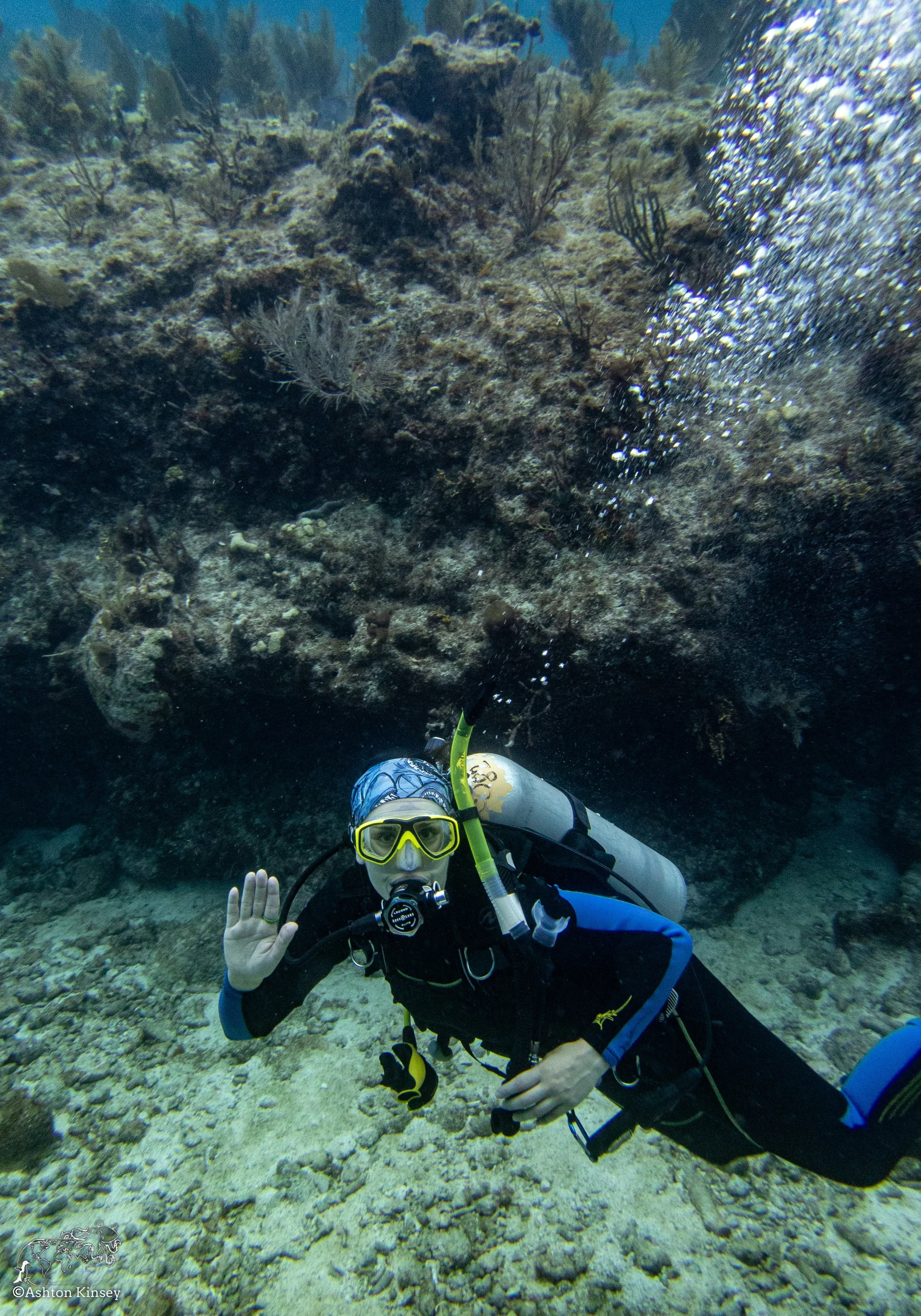 RR-KL-D6-Eagle Ray Alley-3.jpg