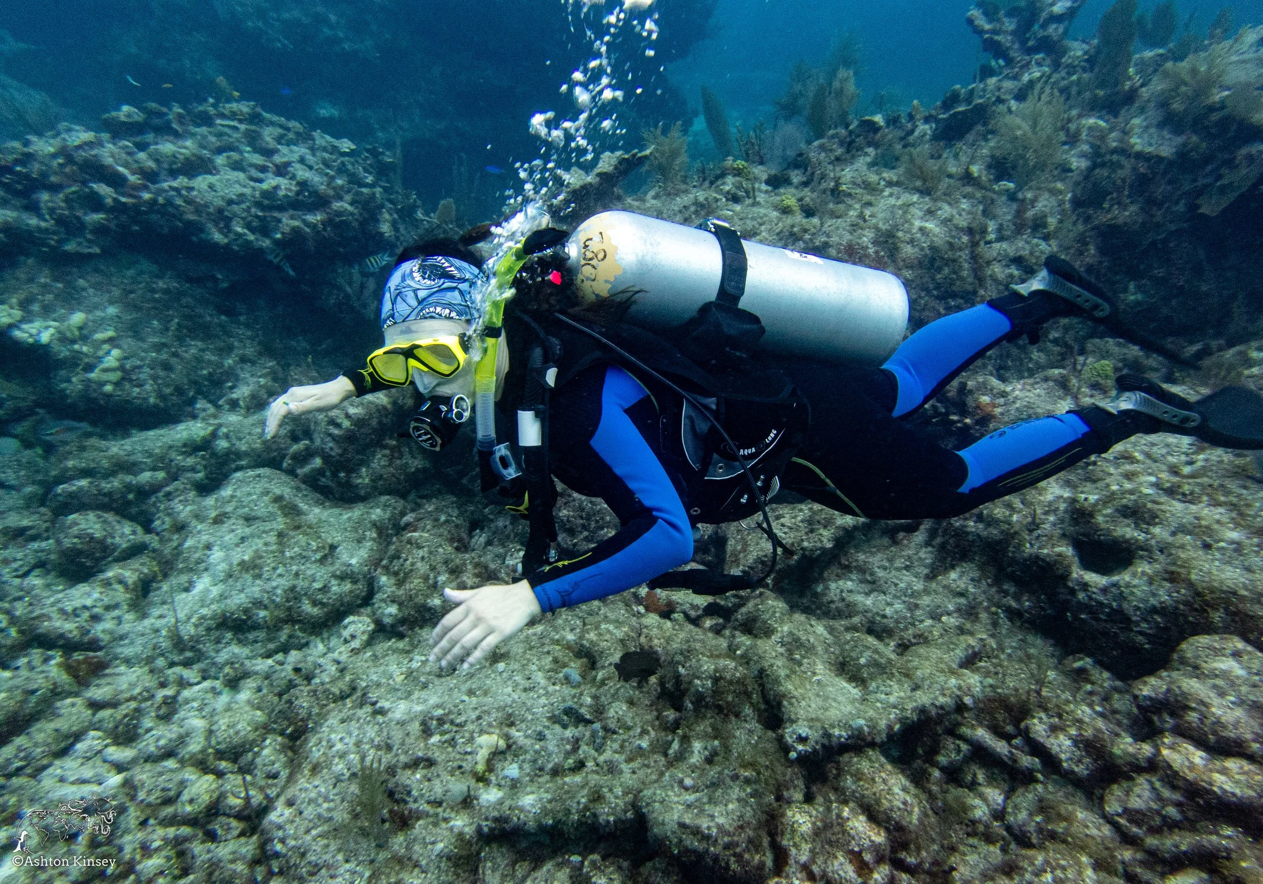 RR-KL-D6-Eagle Ray Alley-6.jpg