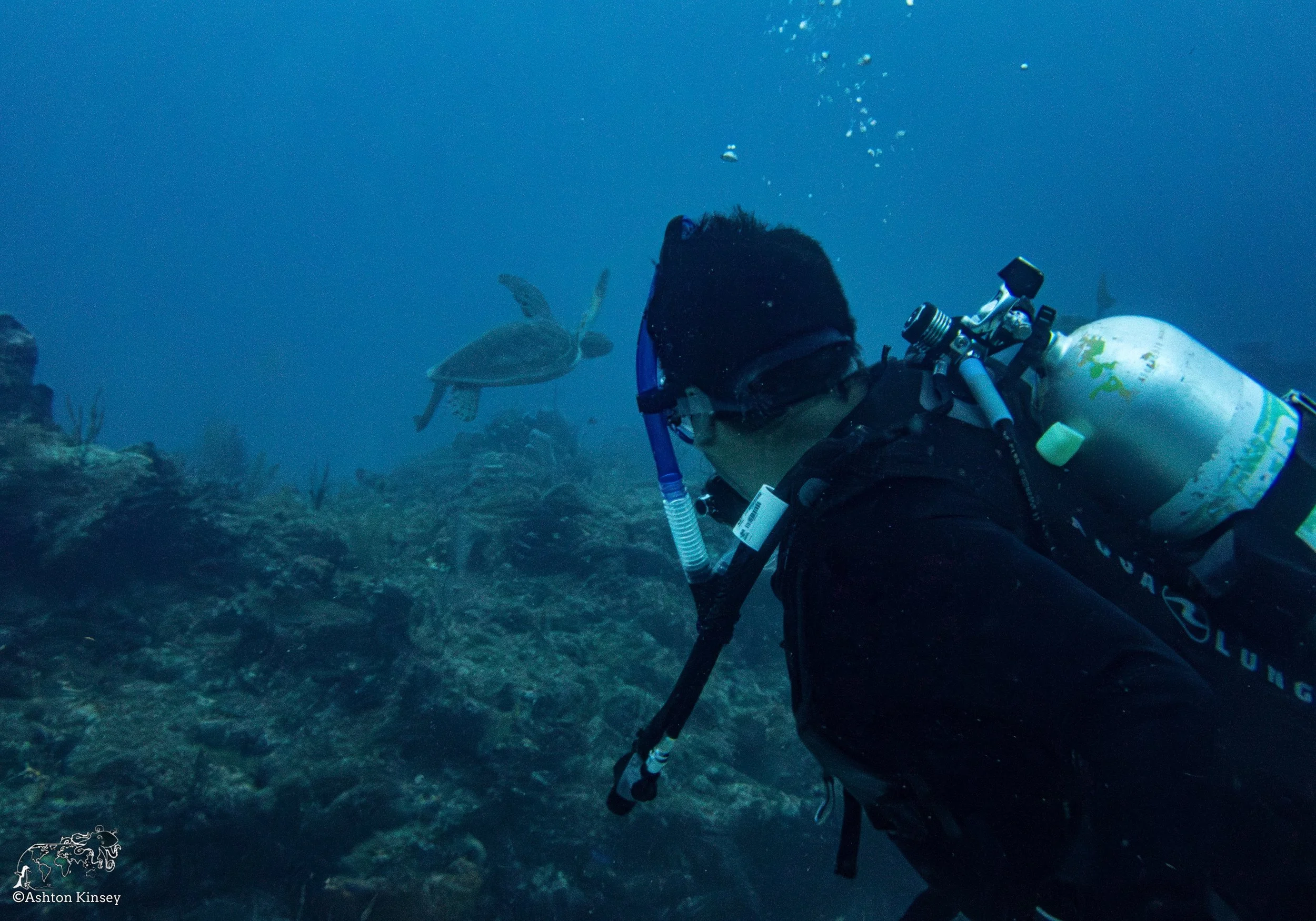 RR-KL-D6-Eagle Ray Alley-9.jpg