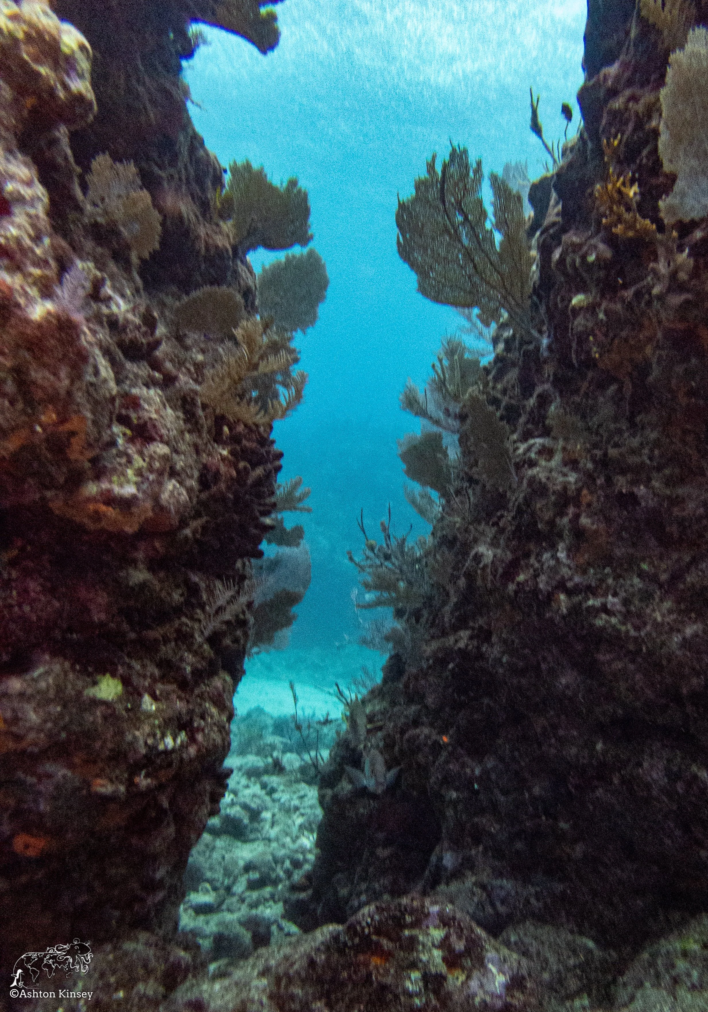 RR-KL-D6-Eagle Ray Alley-11.jpg