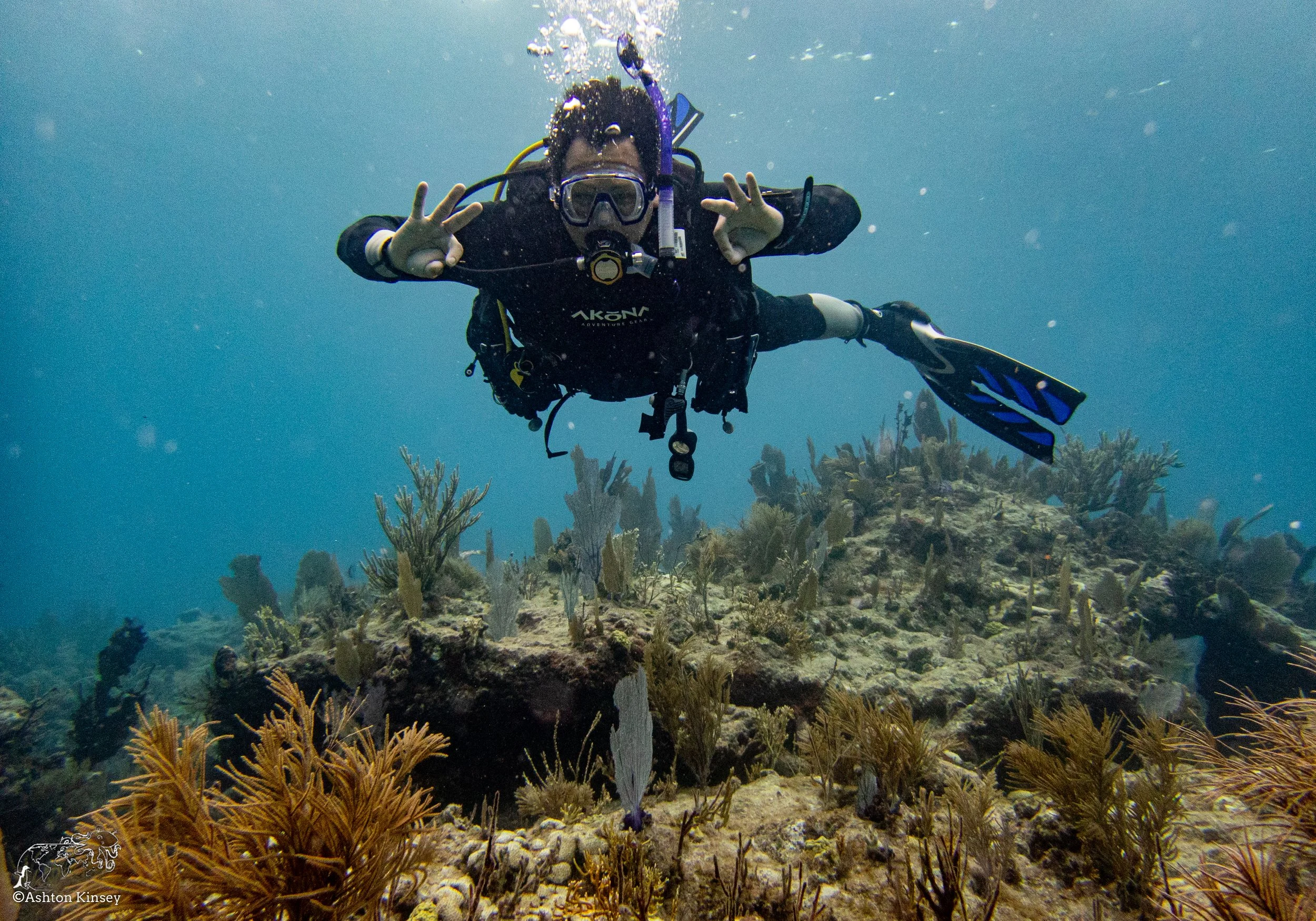RR-KL-D6-Eagle Ray Alley.jpg
