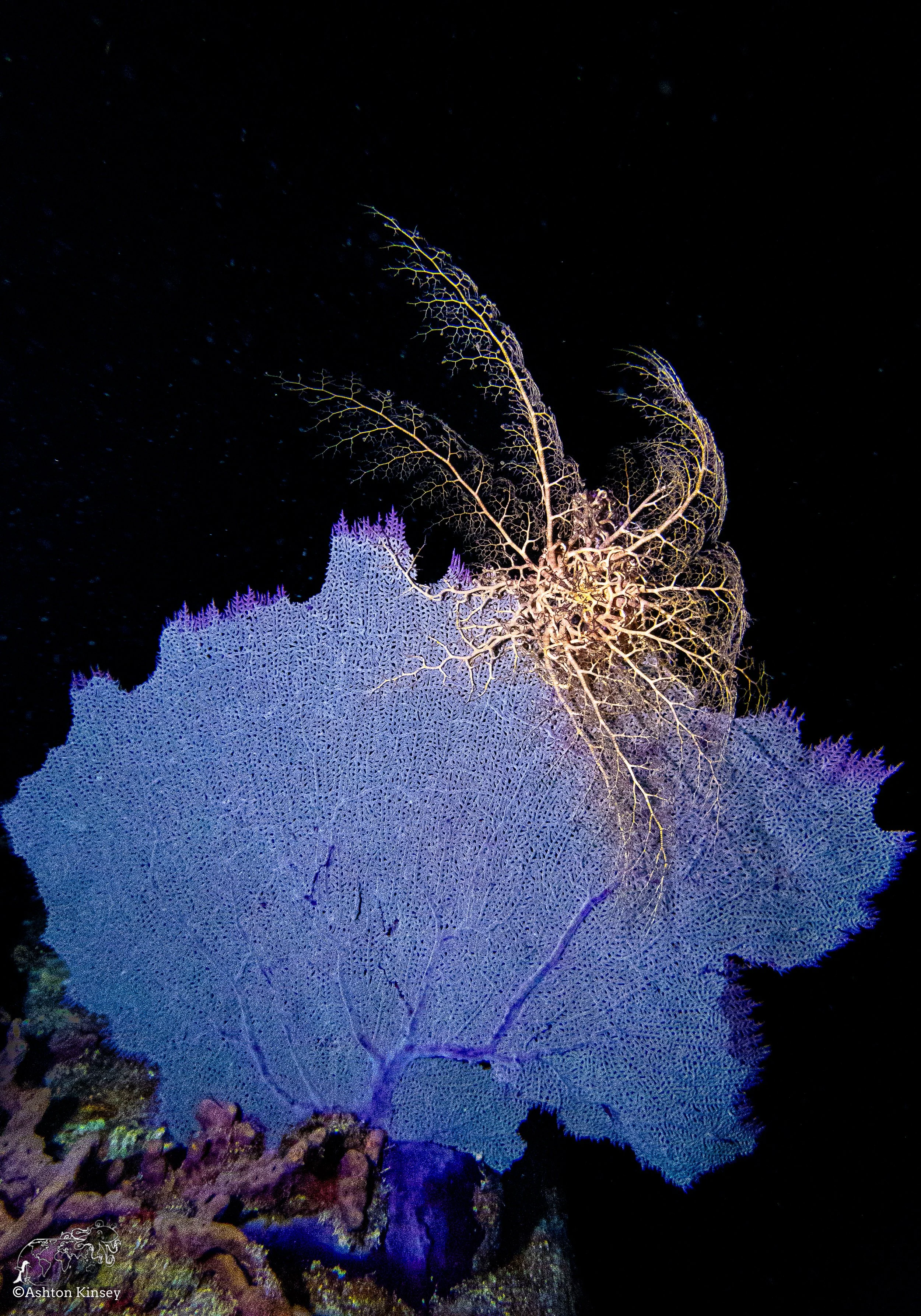 BW D1-15.jpg