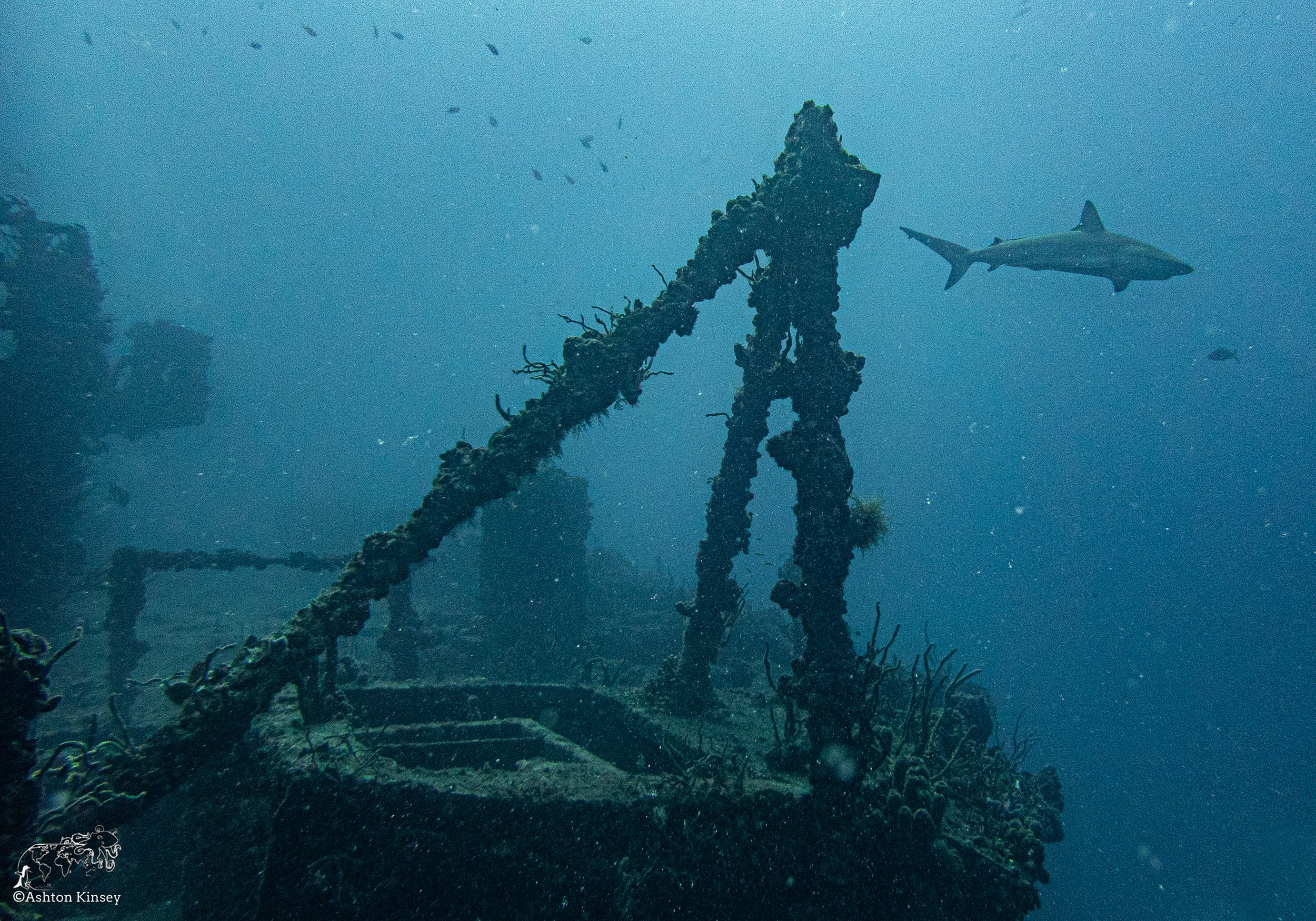 Florida: Deep Wrecks