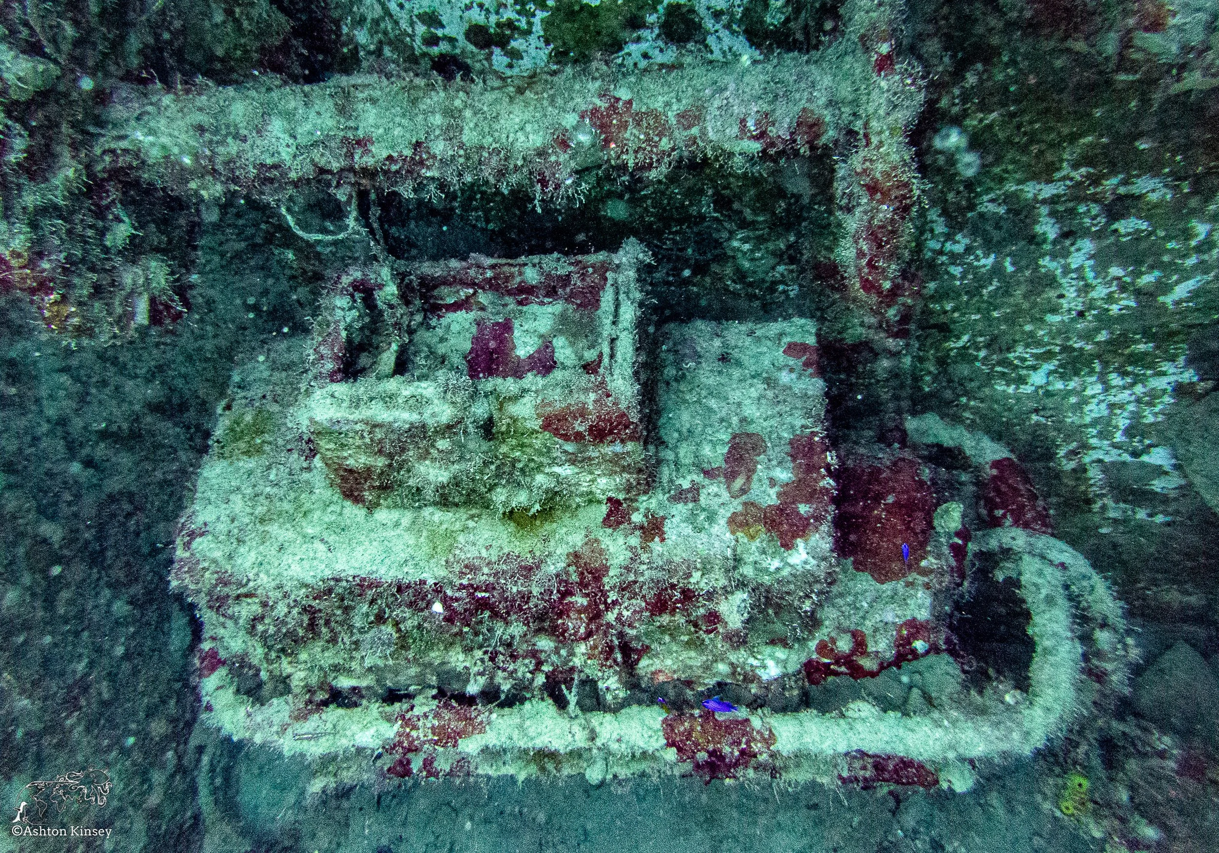 SG D2-5.jpg
