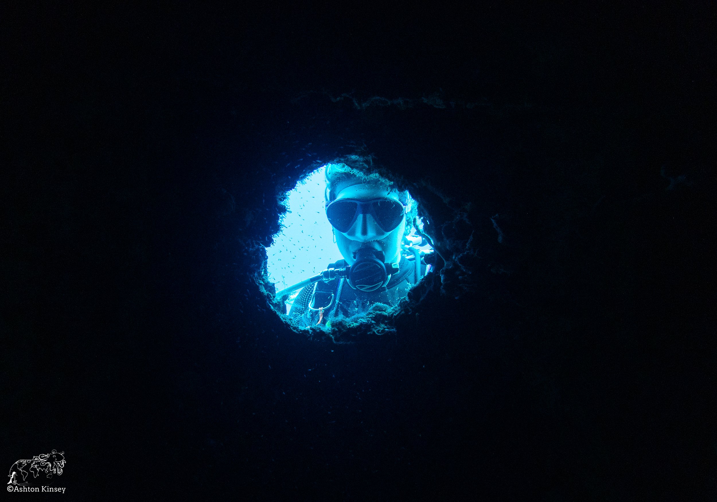 SG D2-19.jpg