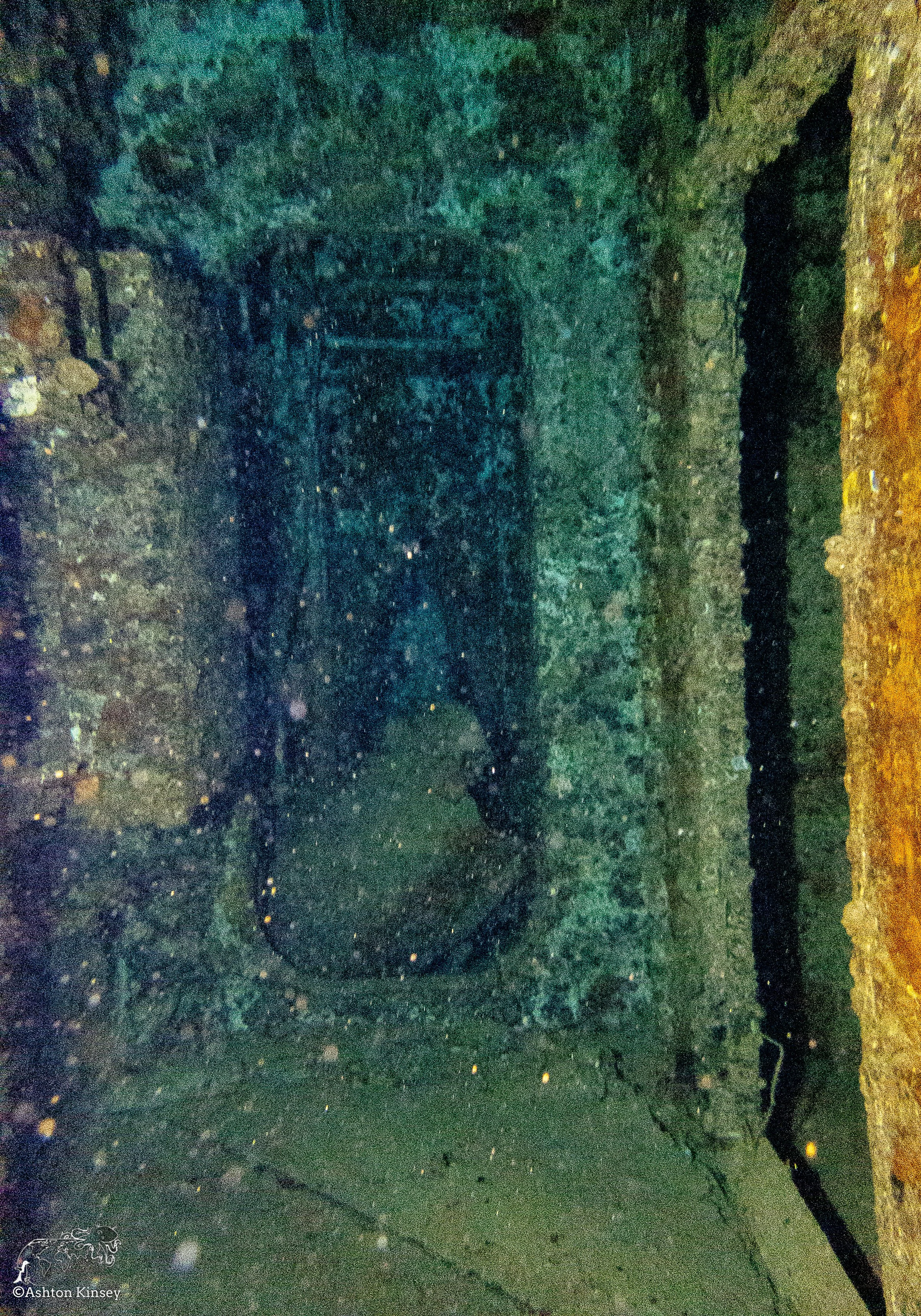 SG D2-20.jpg