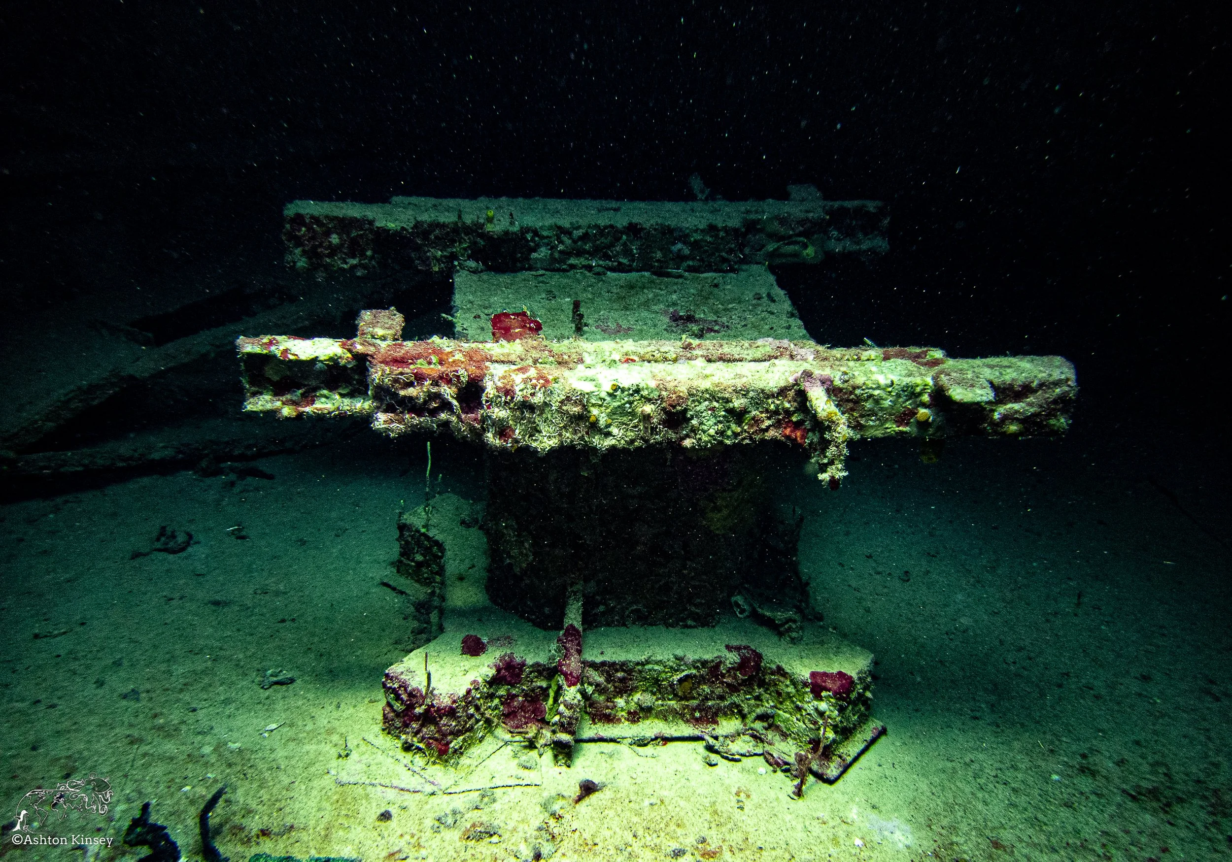 SG D 4-2.jpg