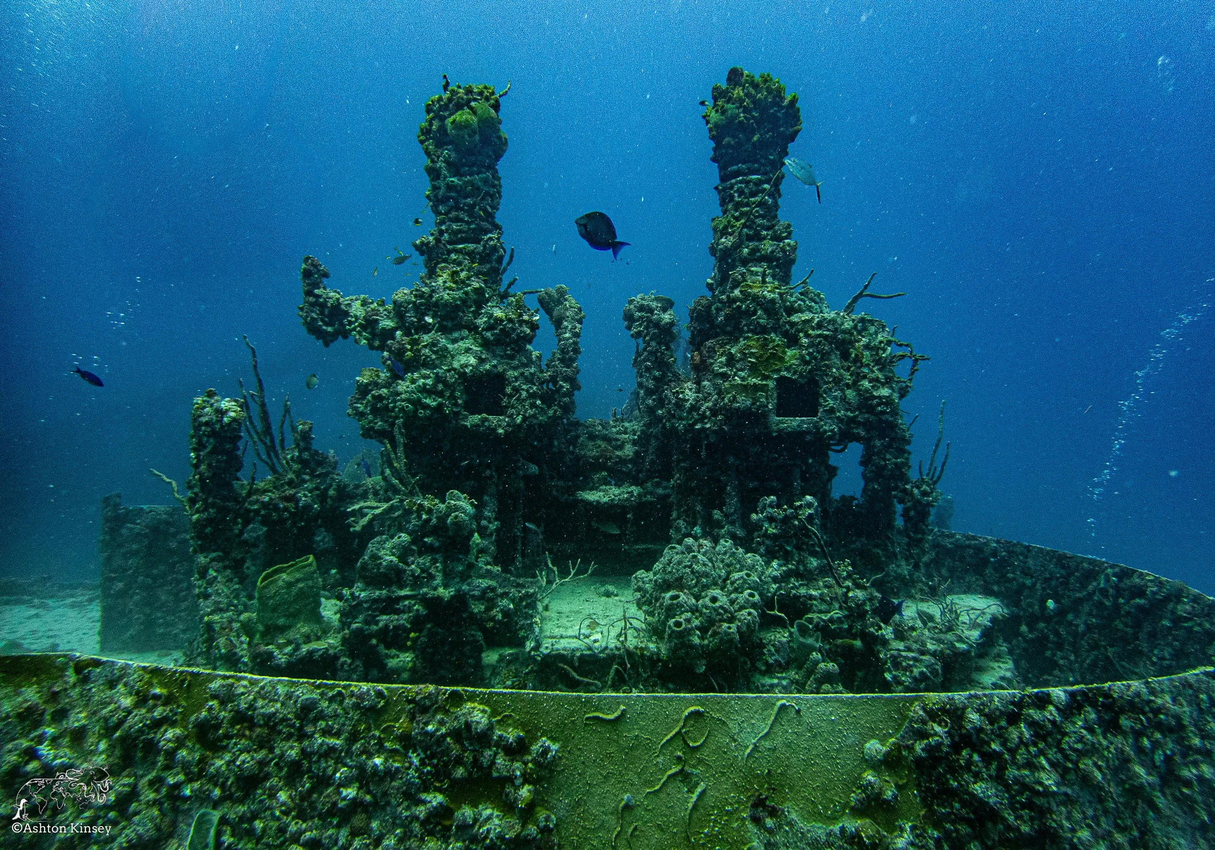 SG D 4-4.jpg