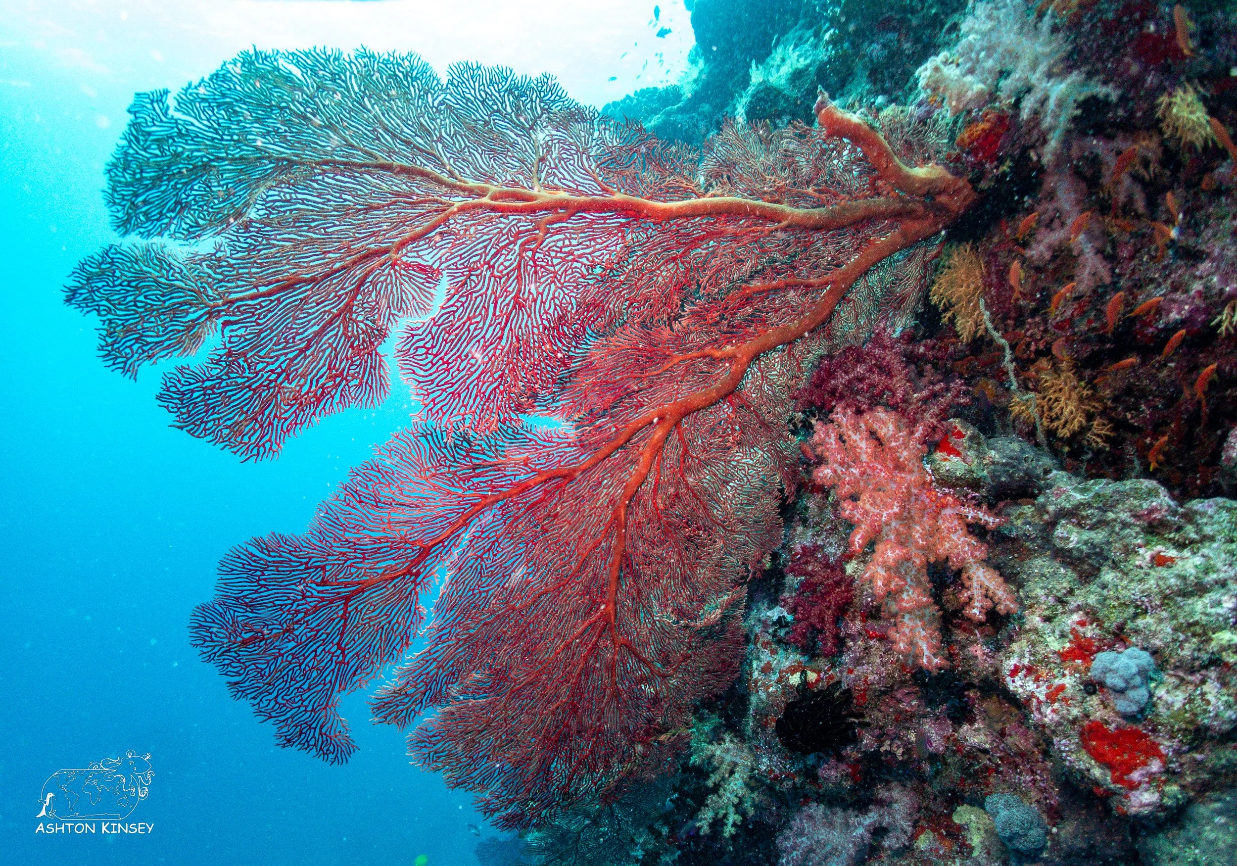 Ceaser's Rock-3.jpg