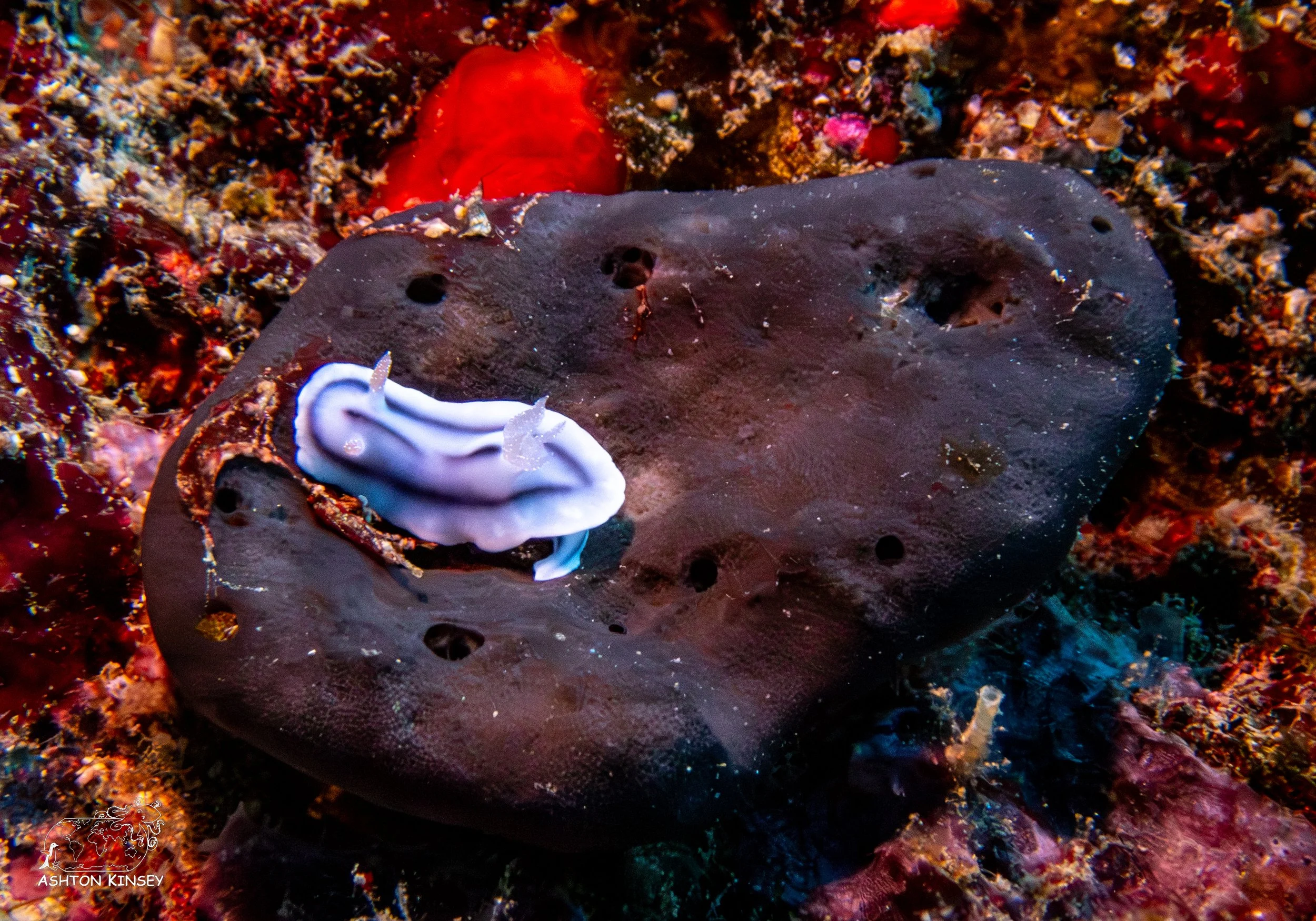 Ceaser's Rock-5.jpg
