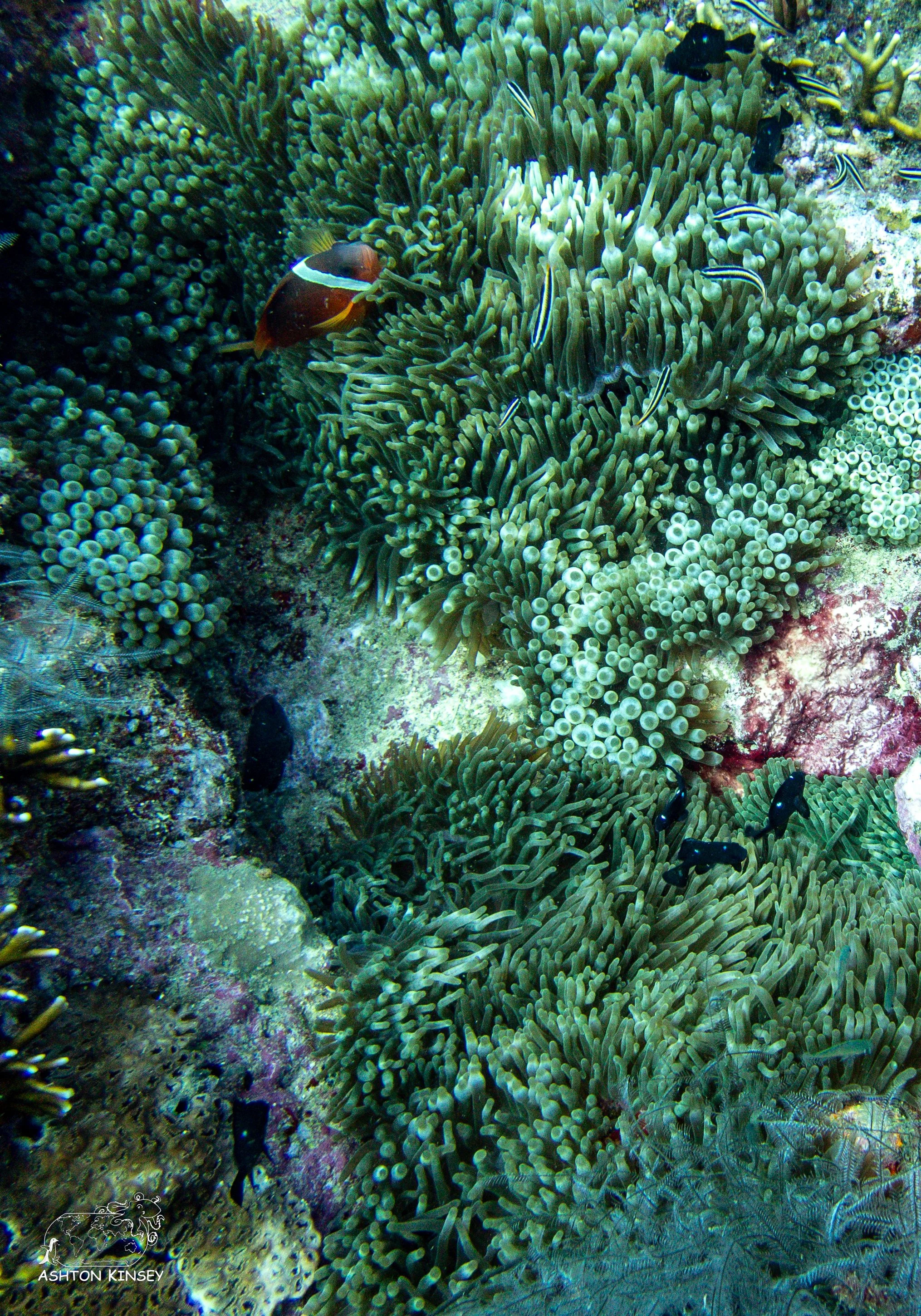 Ceaser's Rock-10.jpg