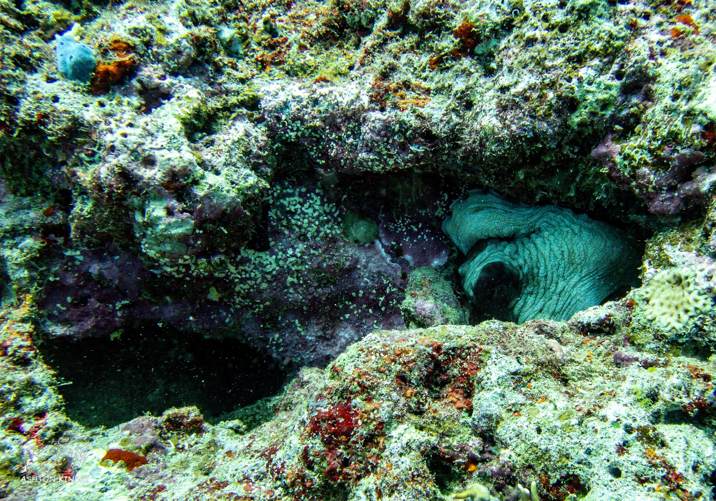 Ceaser's Rock-12.jpg