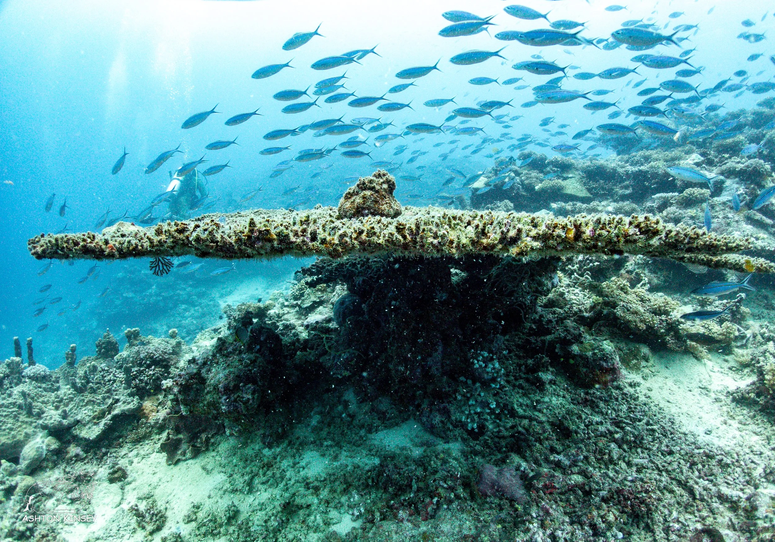 Deadmans Reef-6.jpg