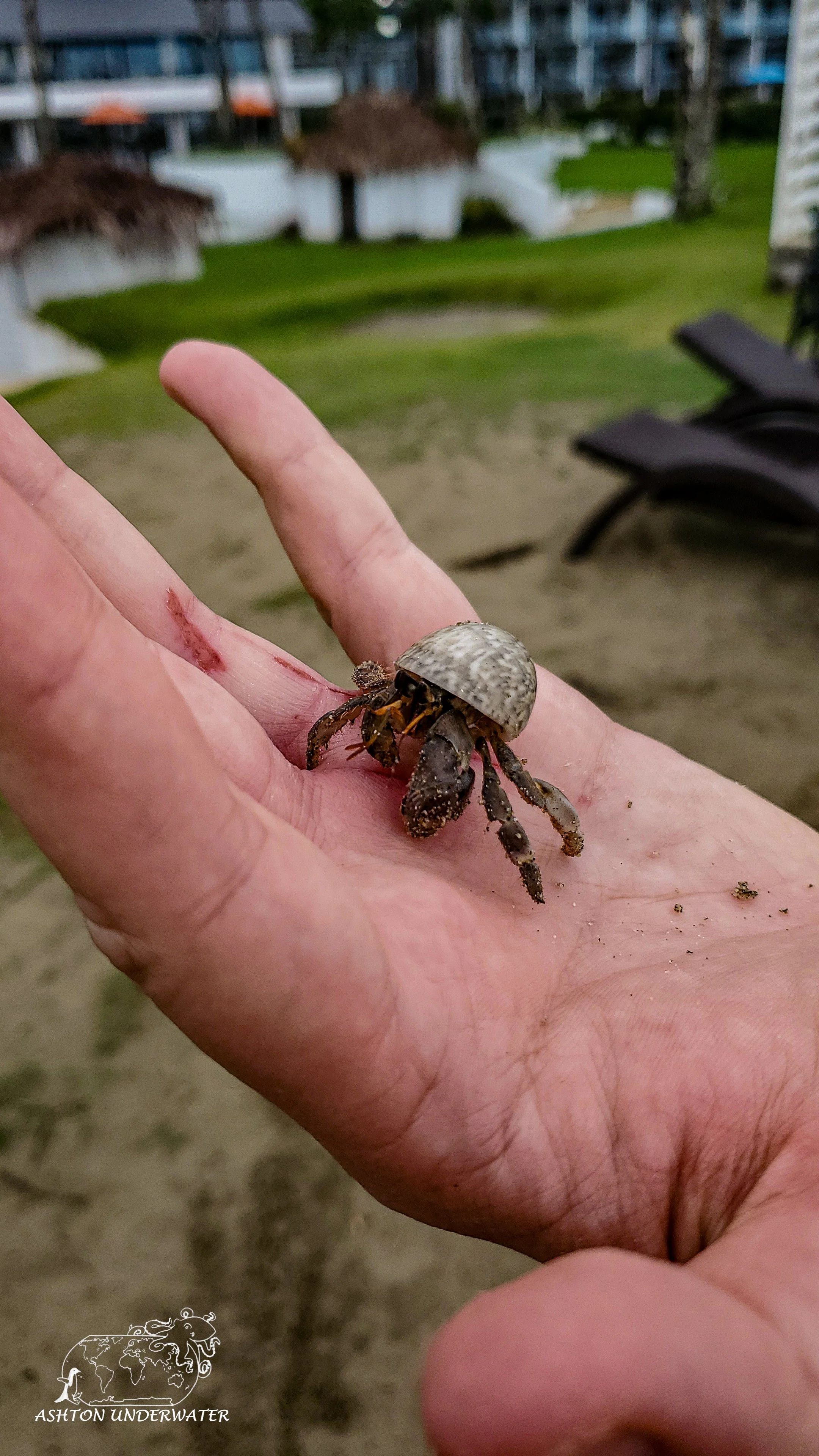 Phone pix-31.jpg