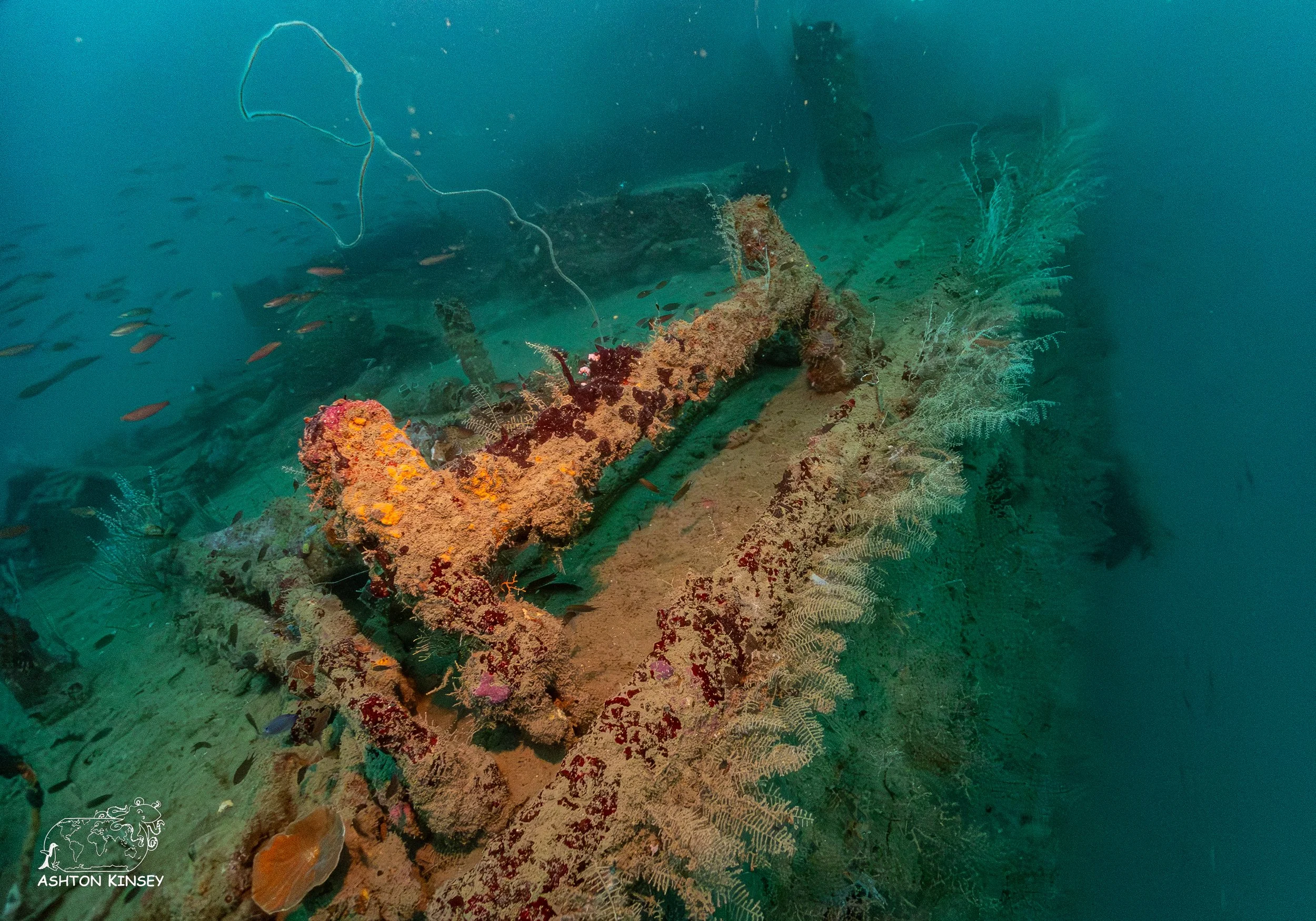 HMNZS Moa-2.jpg
