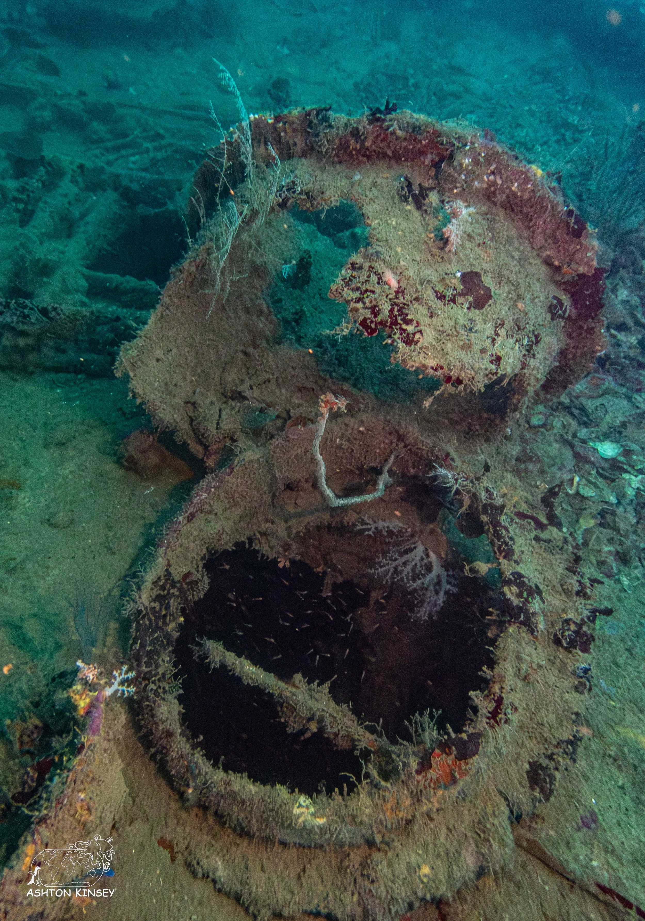 HMNZS Moa-11.jpg