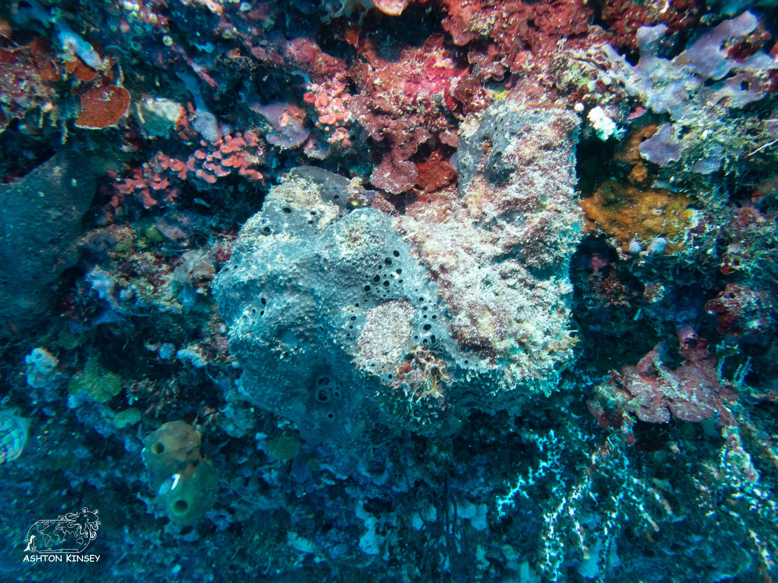 Tanavula Point-5.jpg