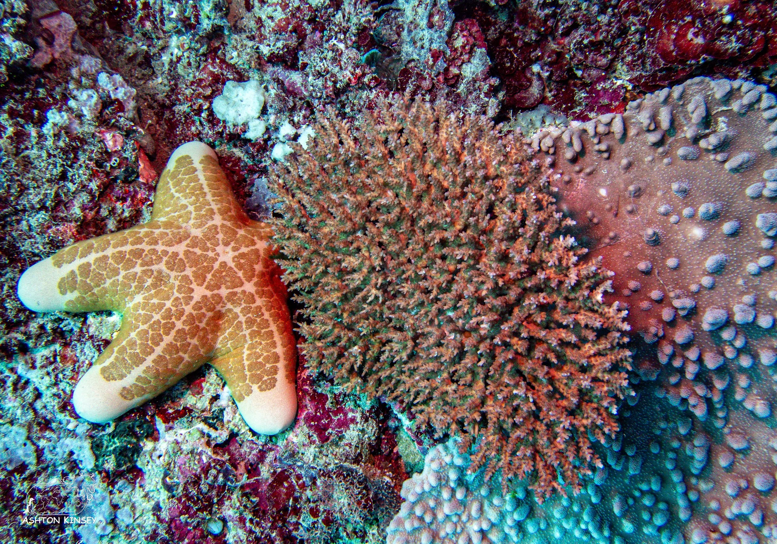 Tanavula Point-8.jpg