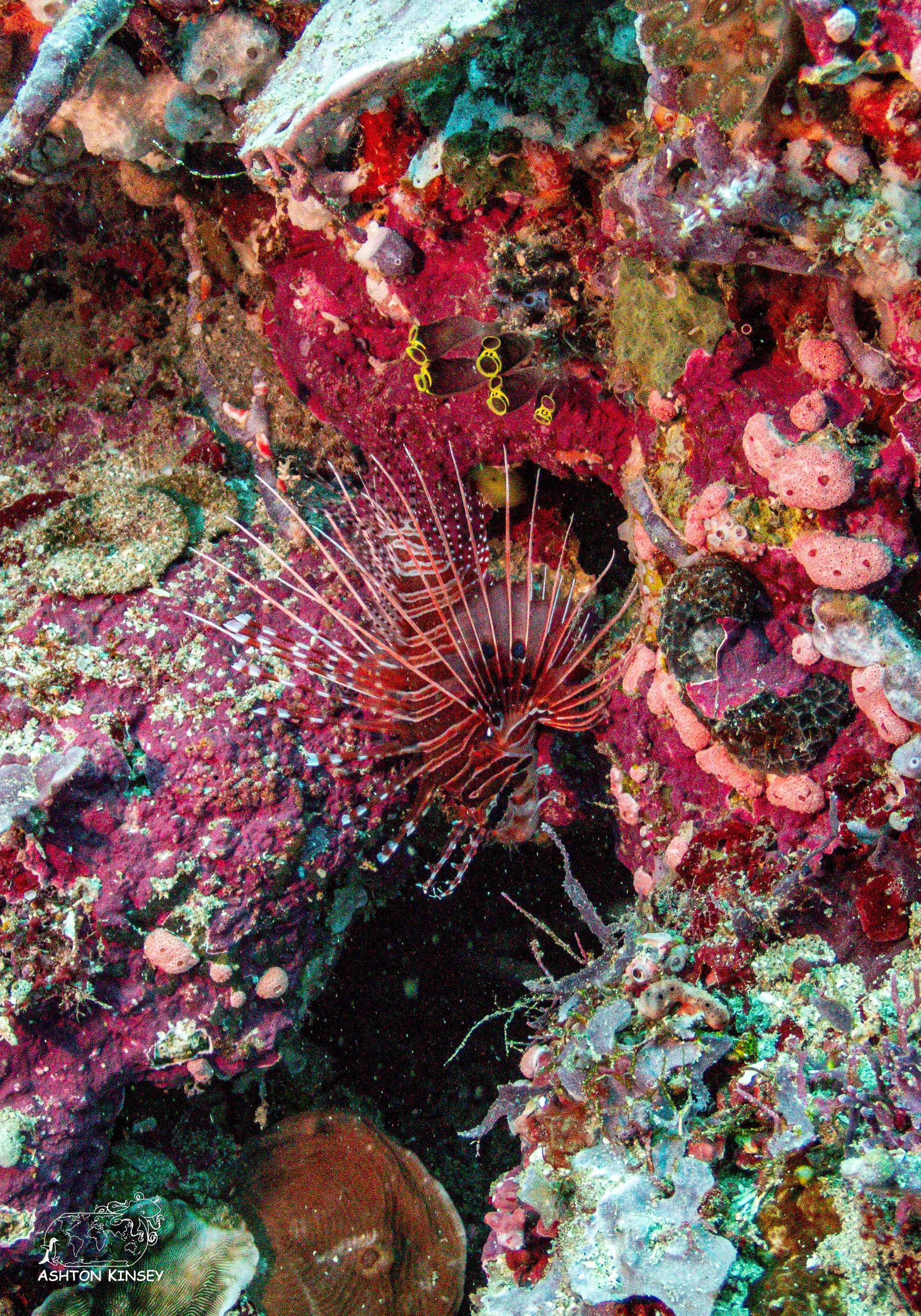 Tanavula Point-10.jpg