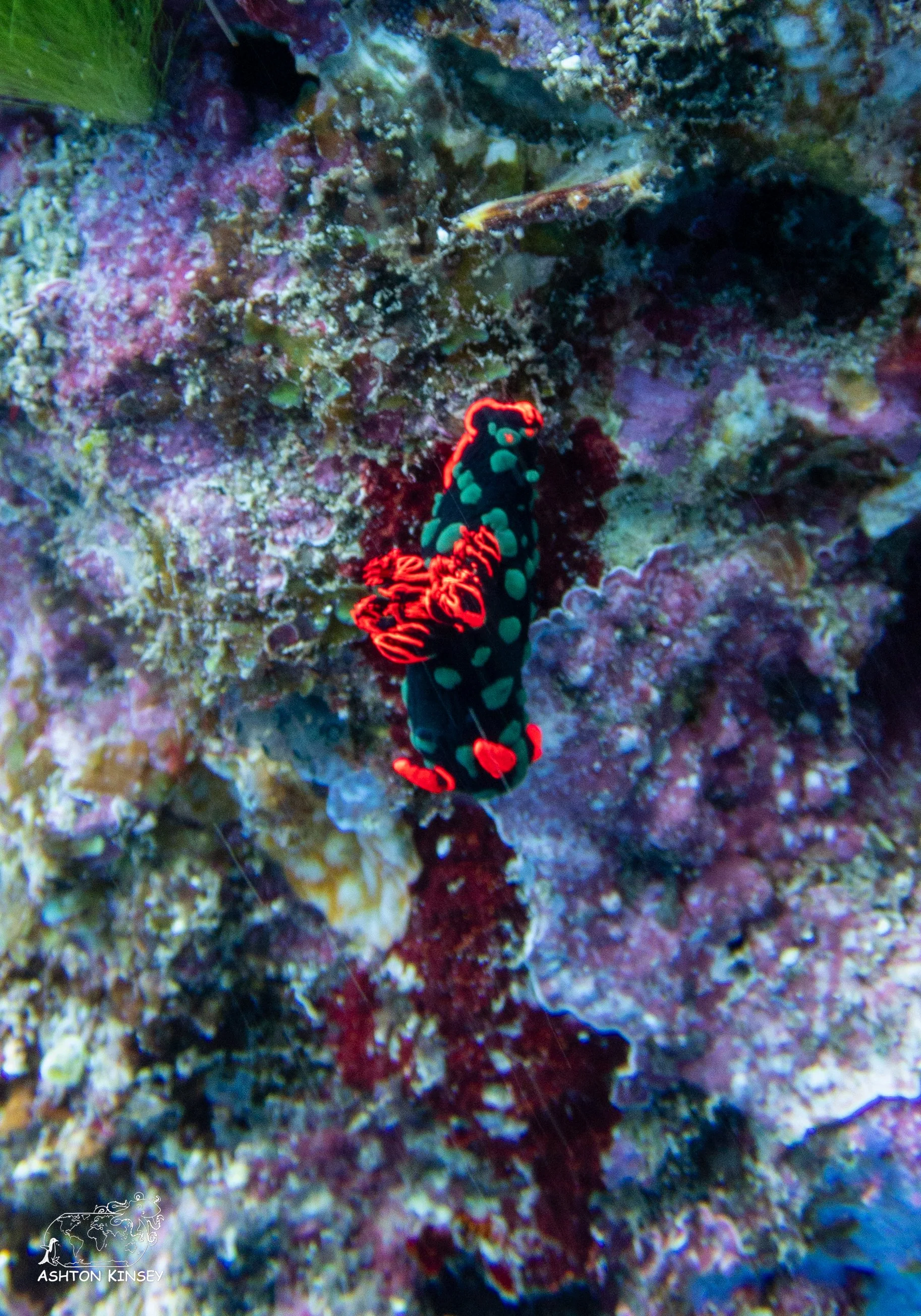 Tanavula Point-13.jpg