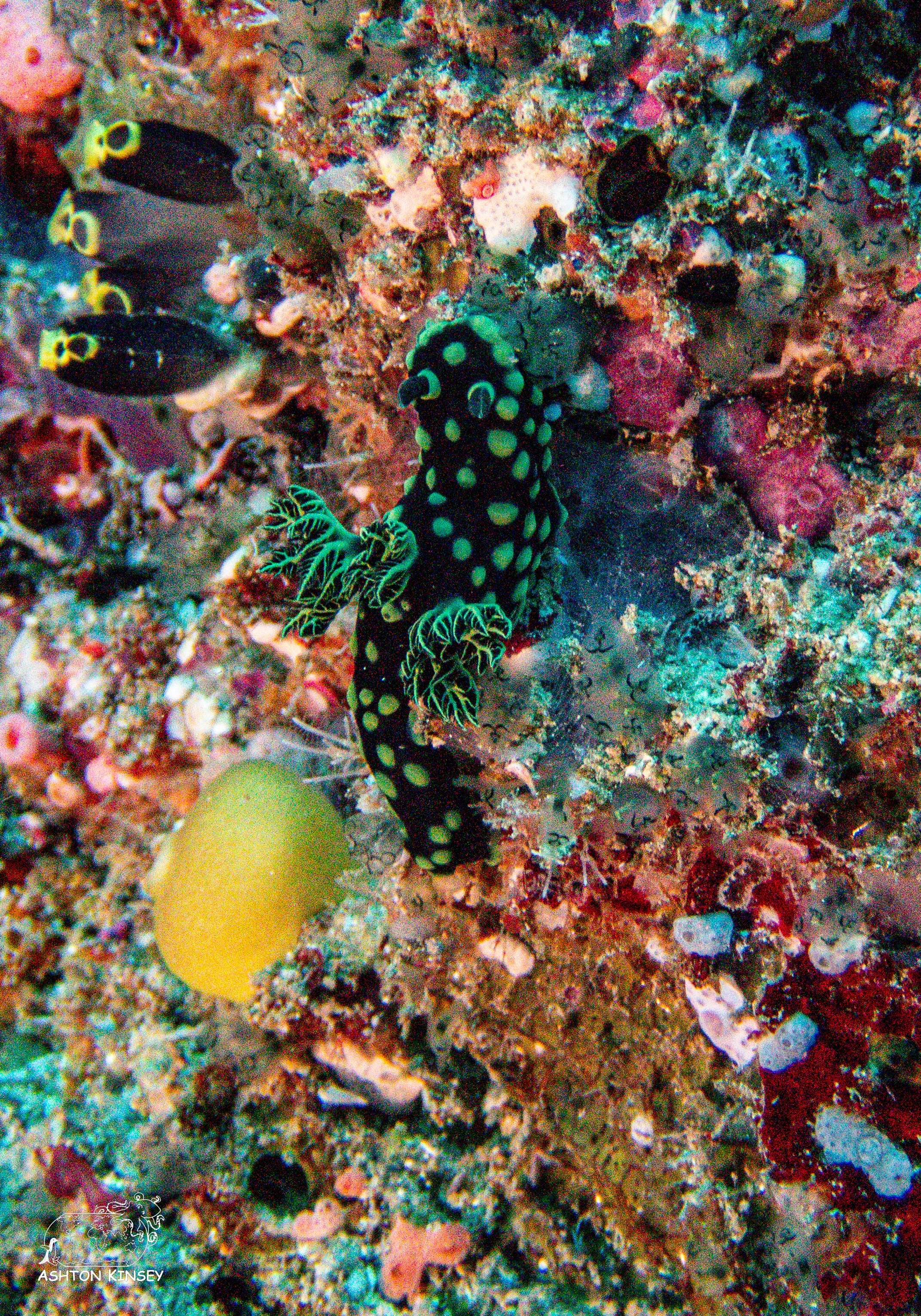 Tanavula Point-12.jpg