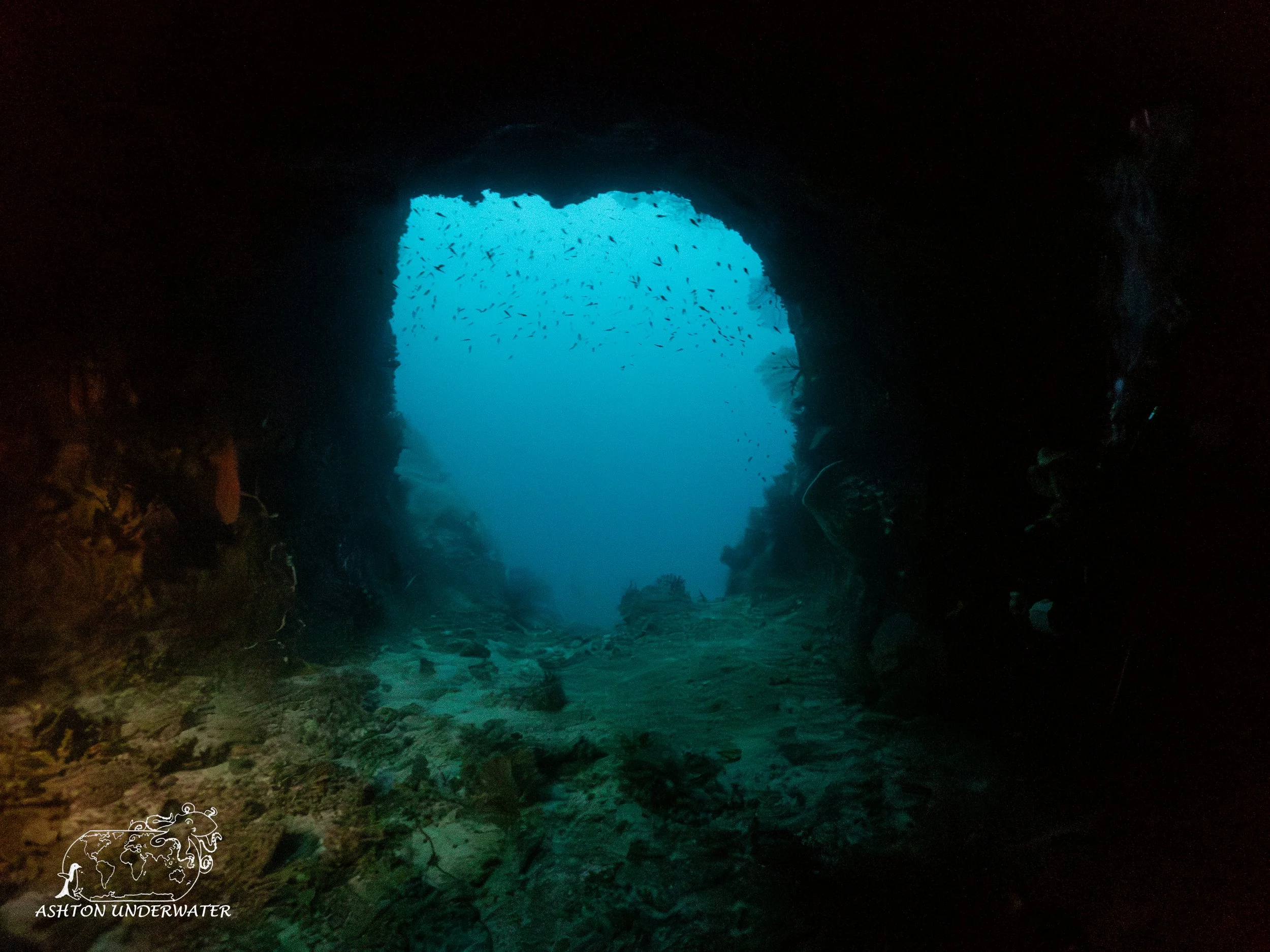 Twin Tunnels-7.jpg