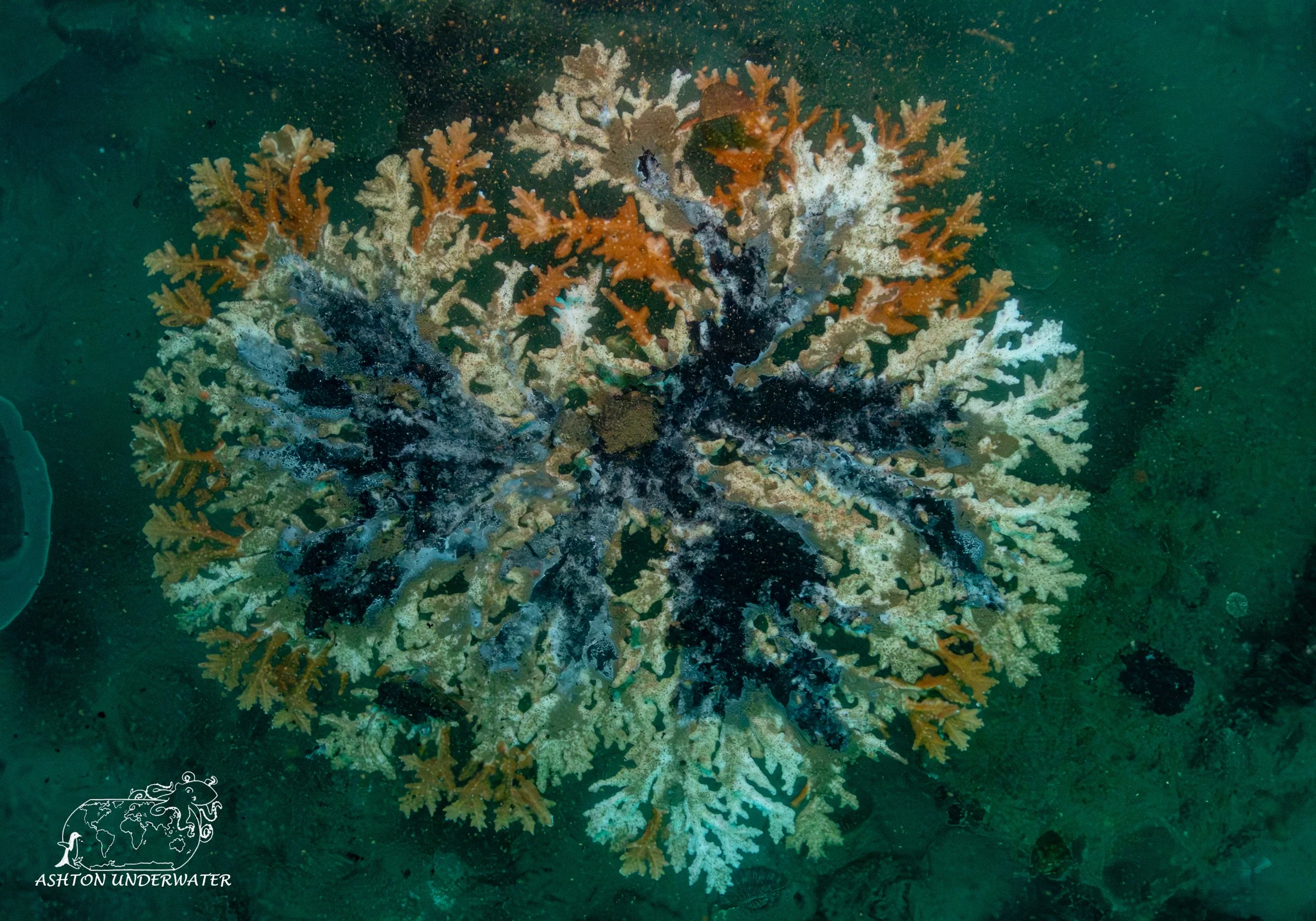 Ship Graveyard-8.jpg