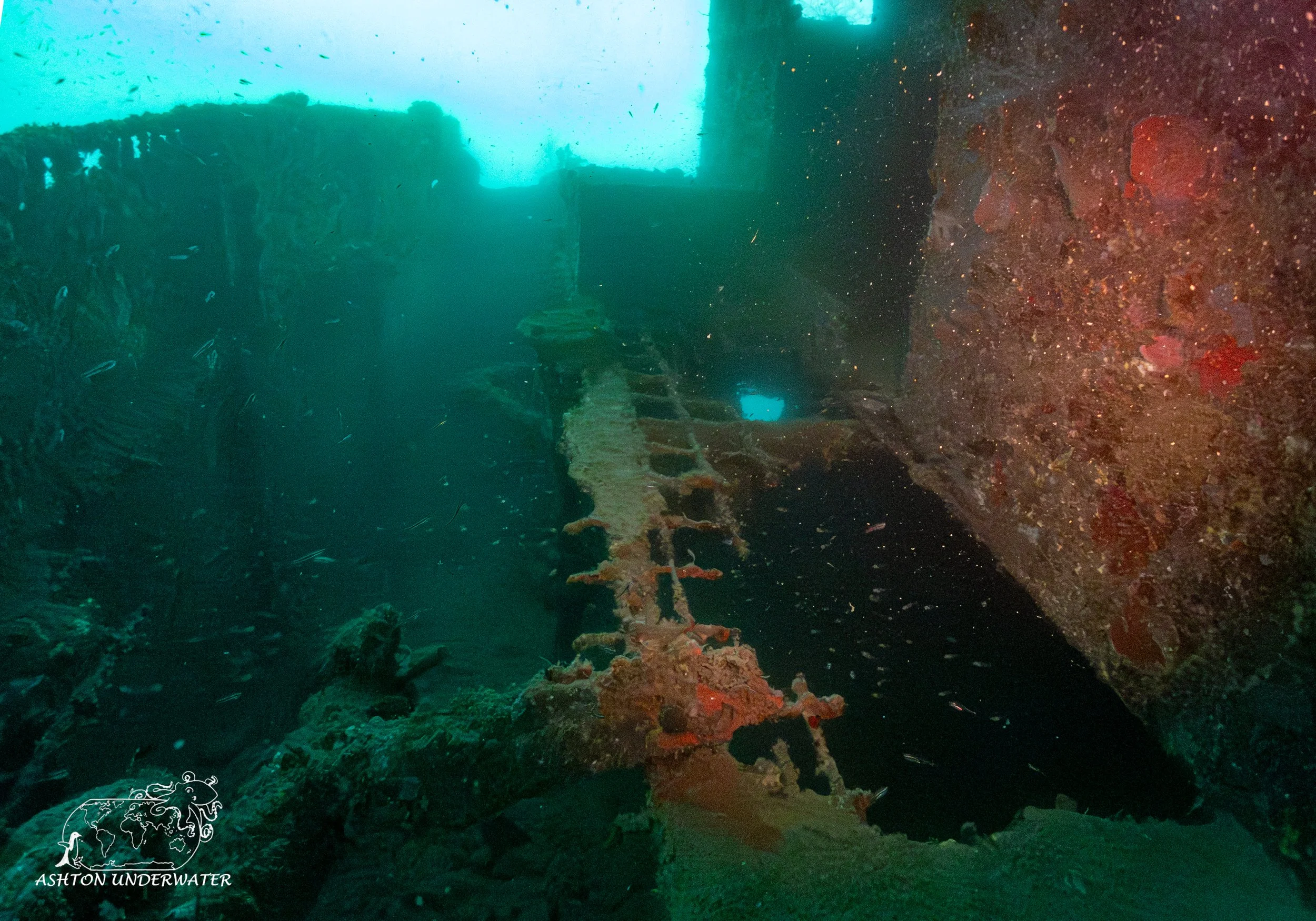 Ship Graveyard-9.jpg