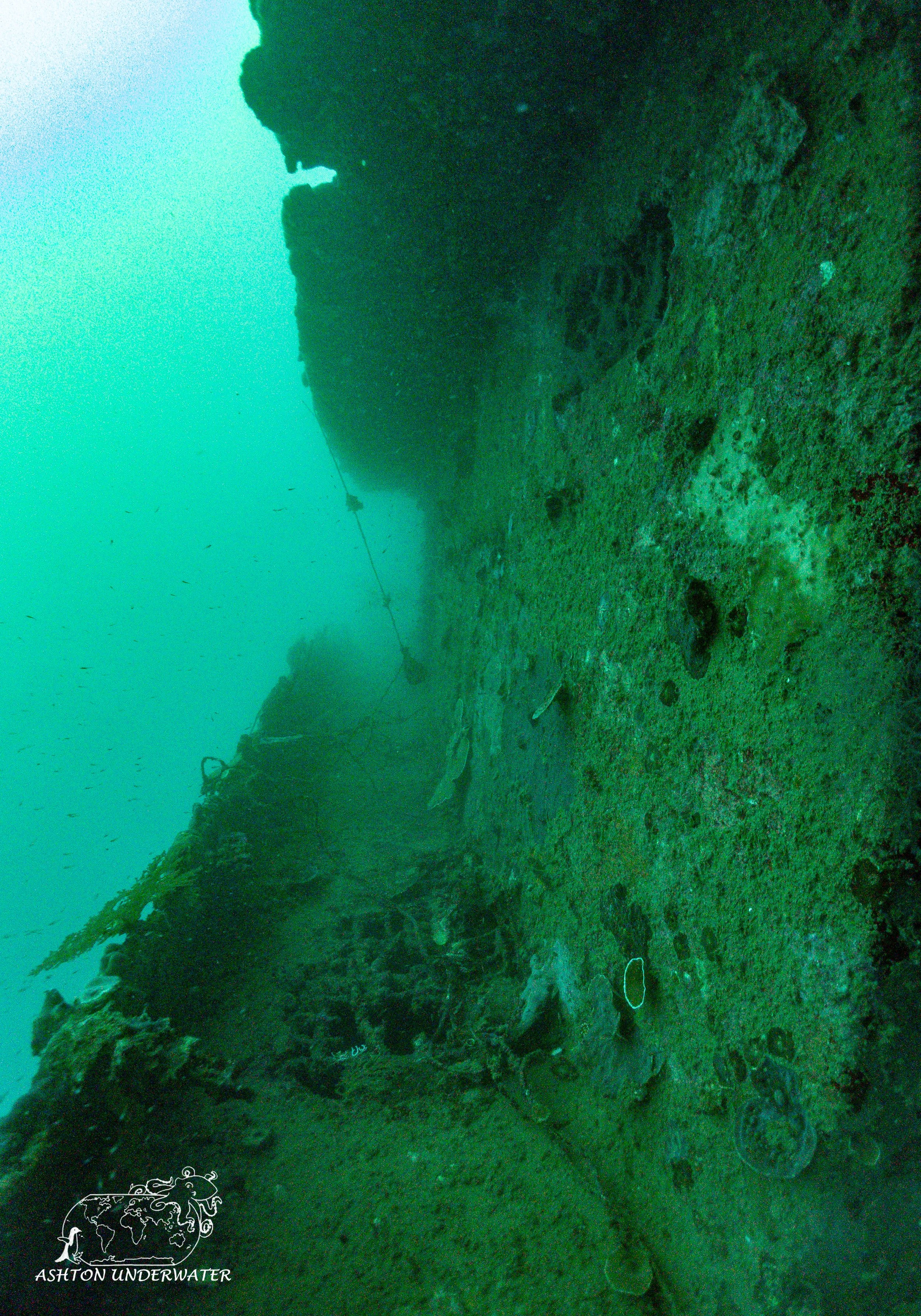 Ship Graveyard-13.jpg